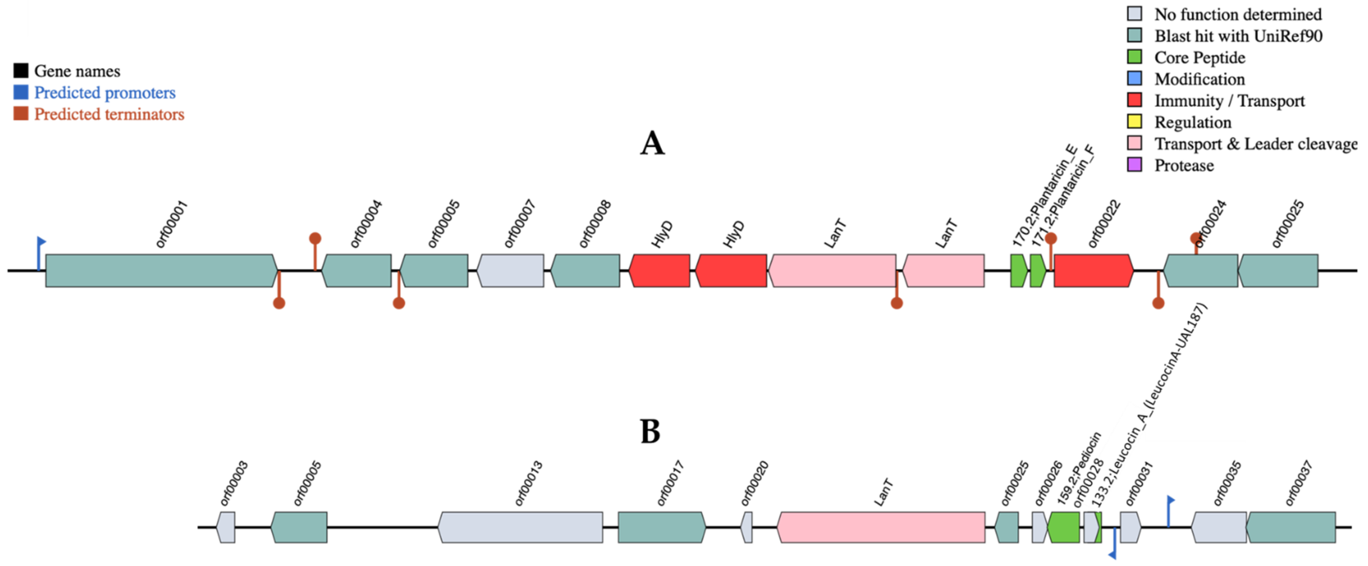 Ijerph 18 05515 g001 Ijerph 18 05515 g001