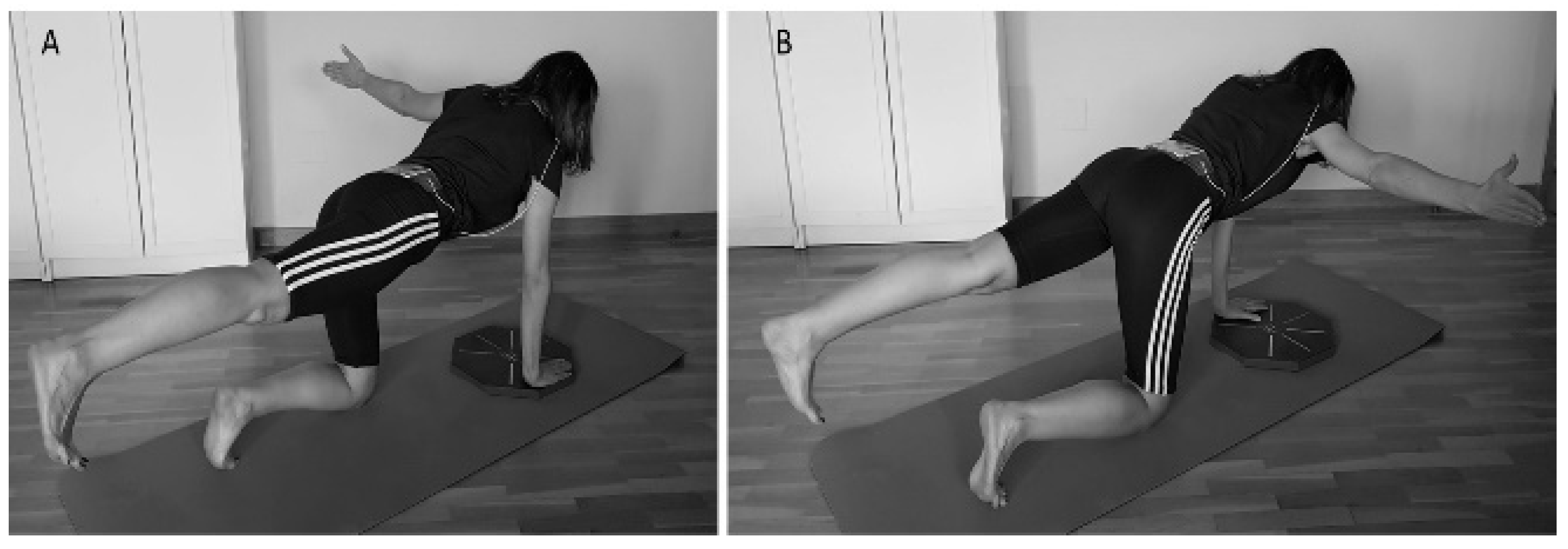 Ijerph 18 05548 g001