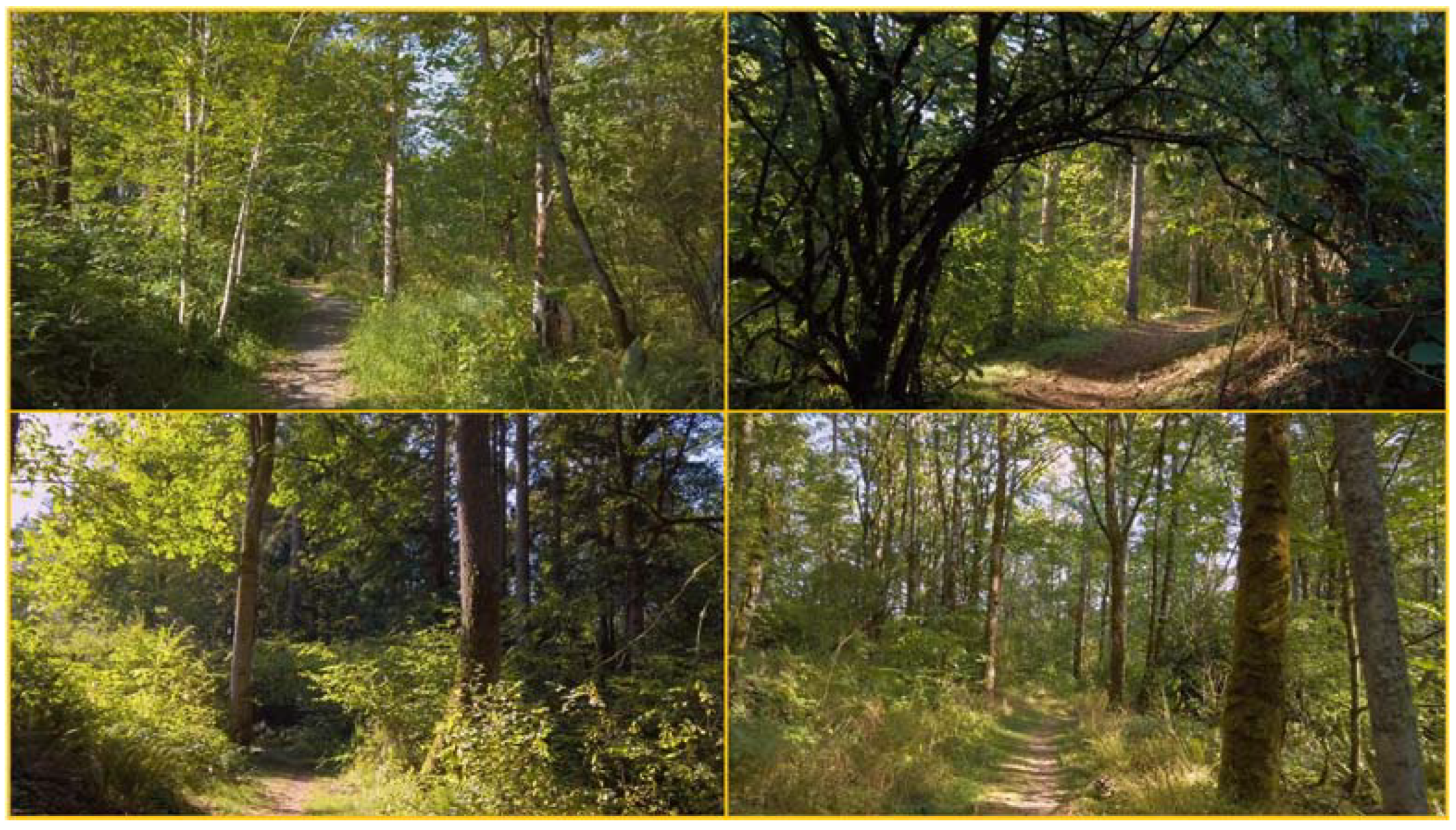 Ijerph 18 05554 g002