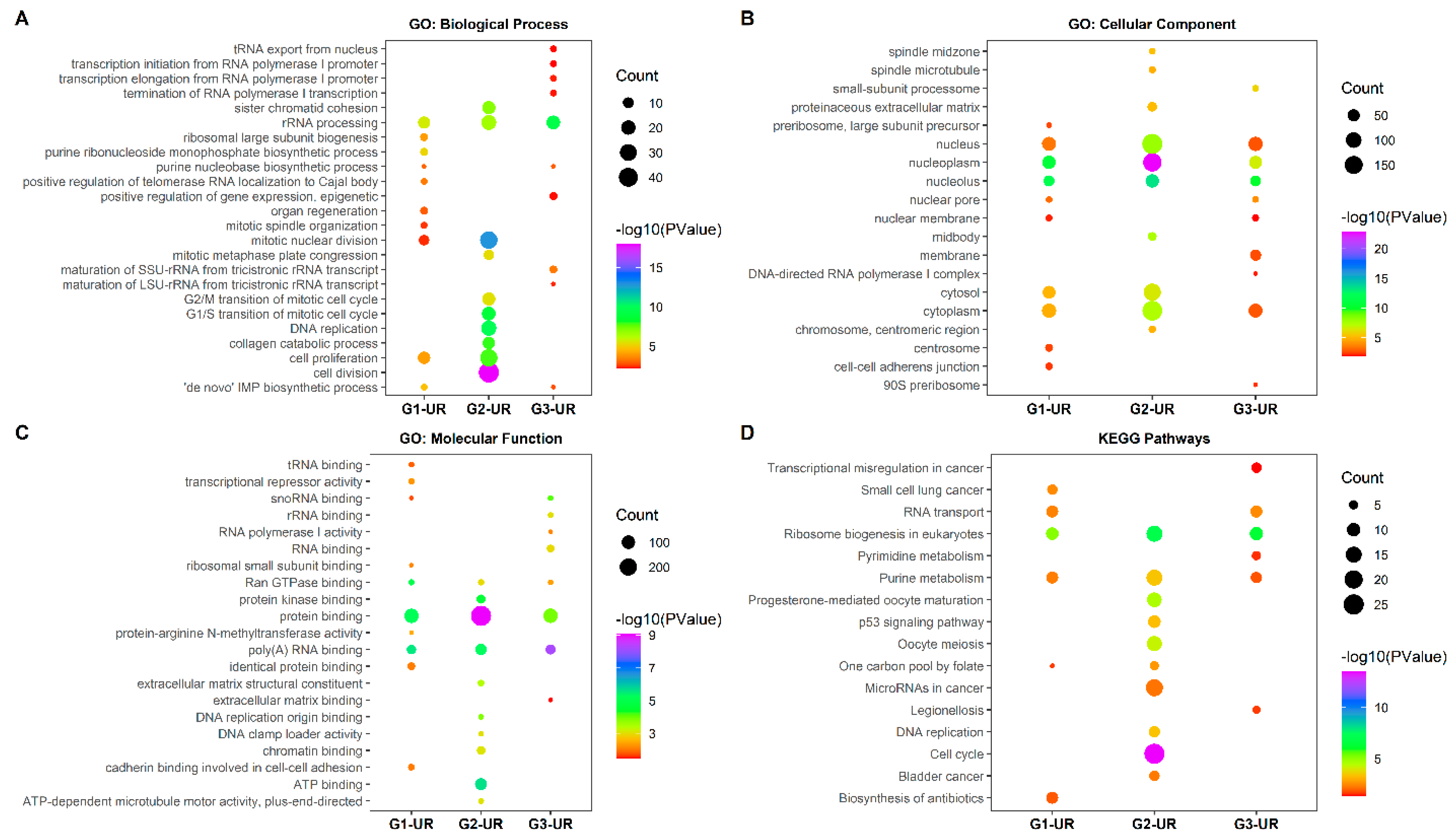 Ijerph 18 05564 g001