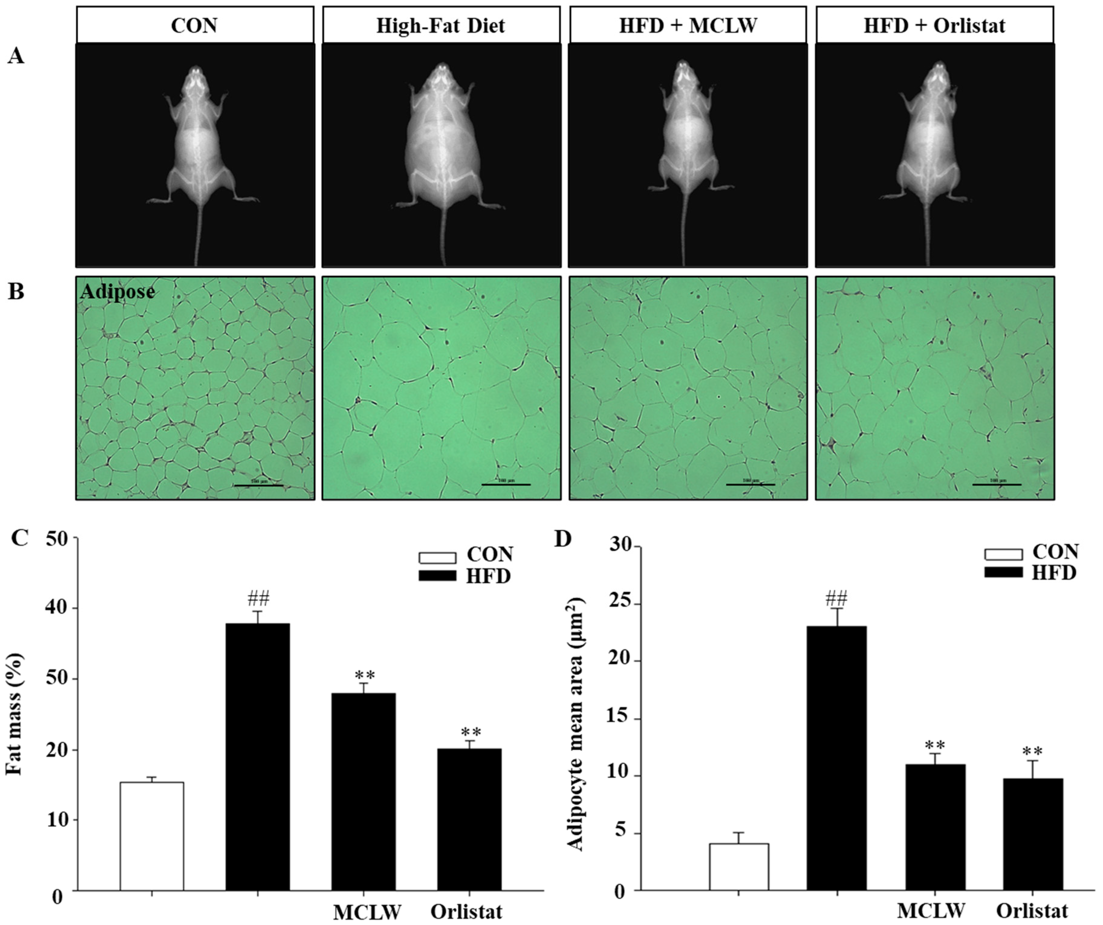 Ijerph 18 05584 g005 Ijerph 18 05584 g005
