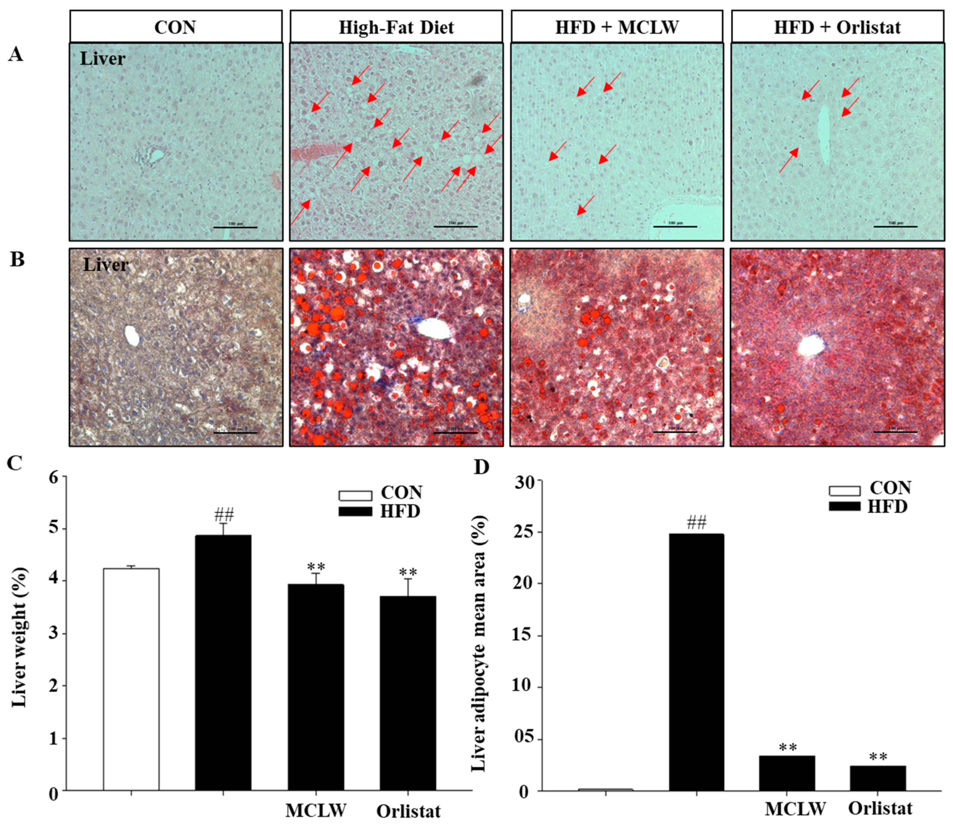 Ijerph 18 05584 g006 Ijerph 18 05584 g006