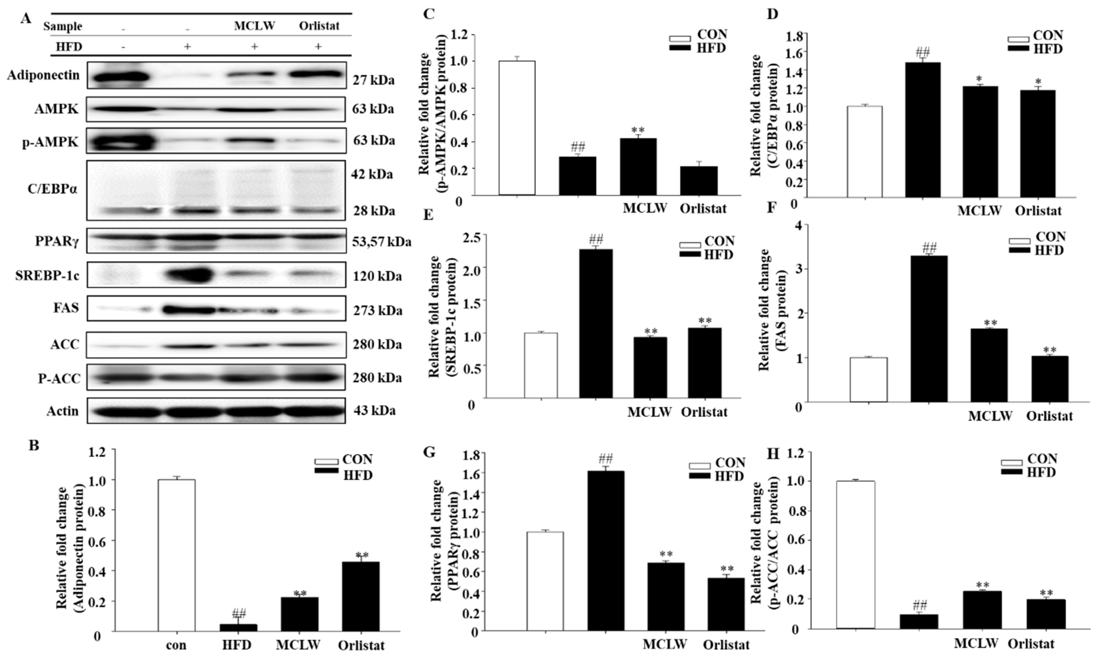 Ijerph 18 05584 g008 Ijerph 18 05584 g008