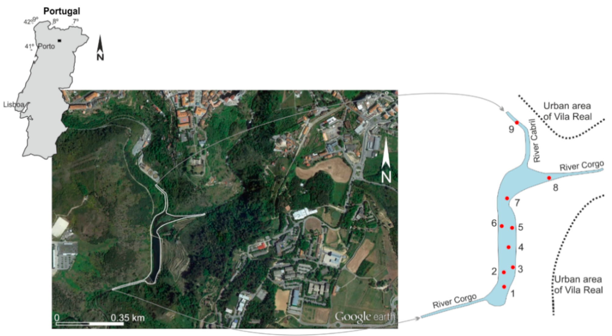 Ijerph 18 05616 g001 Ijerph 18 05616 g001