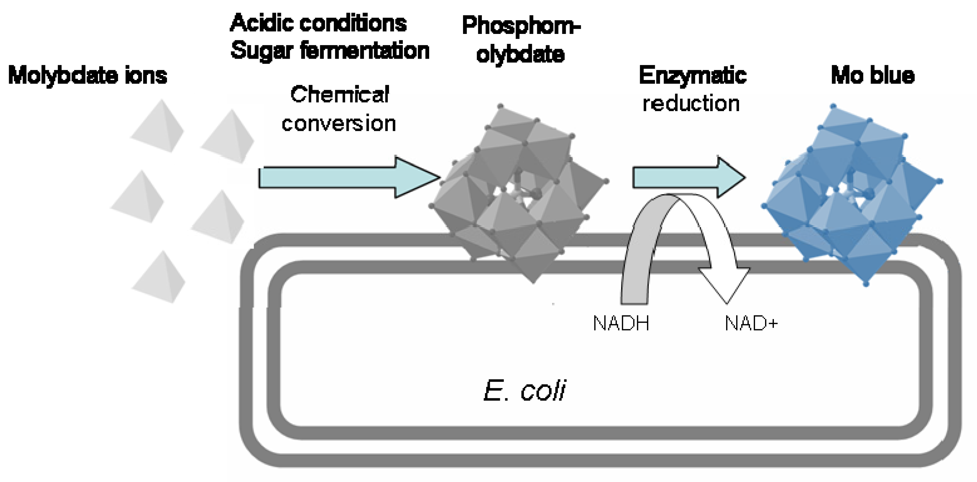 Ijerph 18 05731 g002
