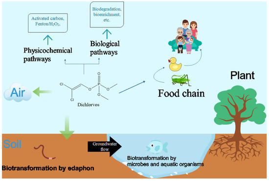 Emerging Technologies for Degradation of Dichlorvos: A Review