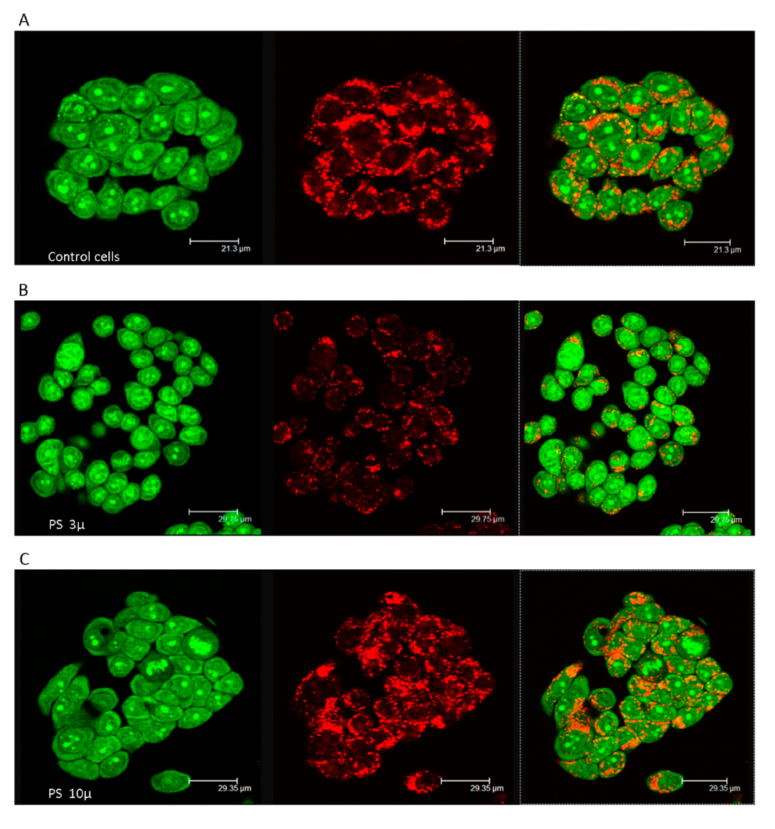 Ijerph 18 05833 g001 Ijerph 18 05833 g001