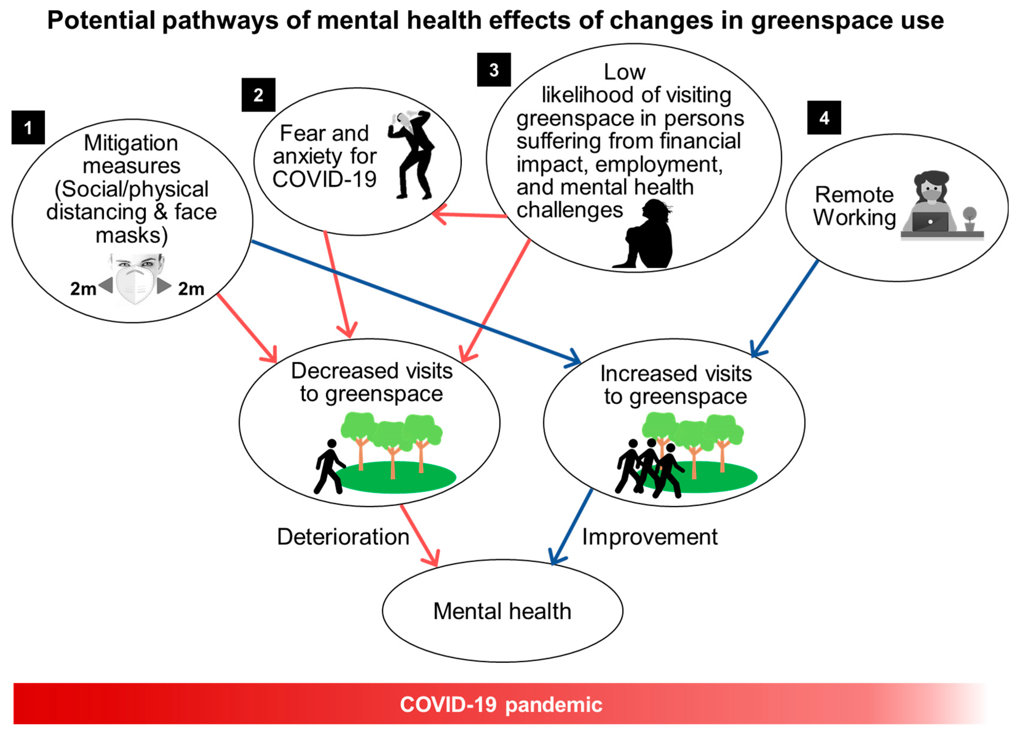 IJERPH Free Full-Text Impact of Changed Use of Greenspace during COVID-19 Pandemic on Depression and Anxiety photo