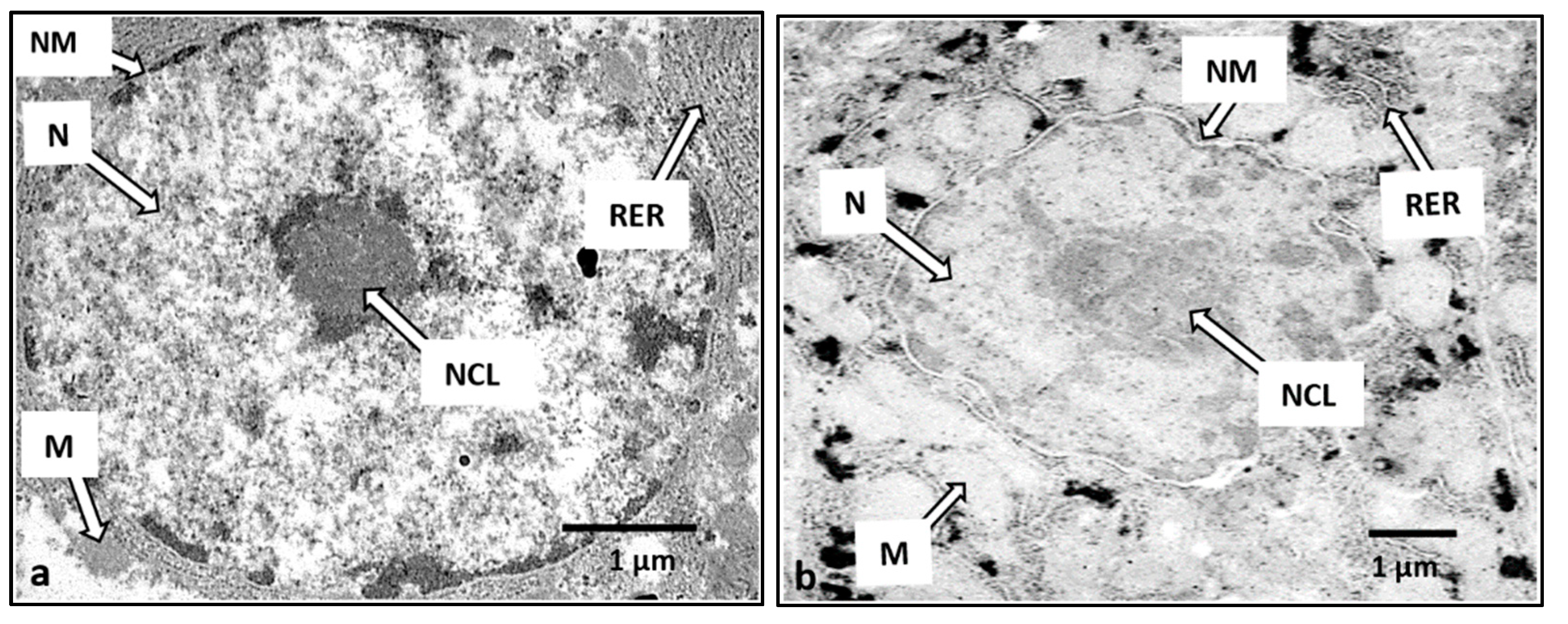 Ijerph 18 05854 g004
