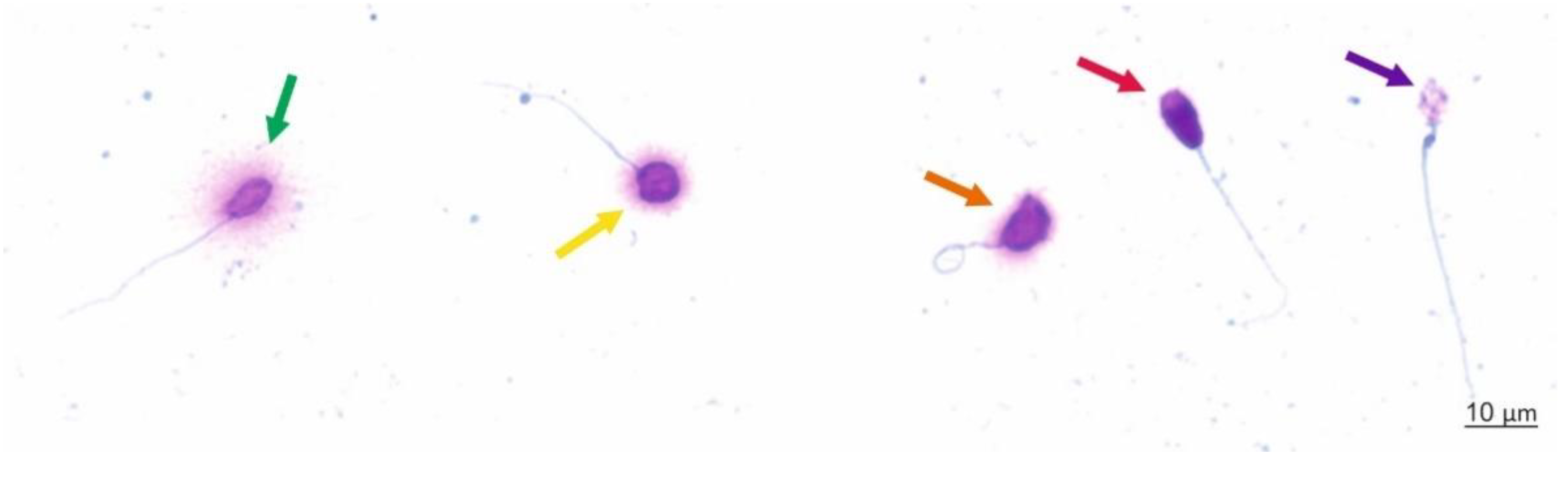 Ijerph 18 05977 g002