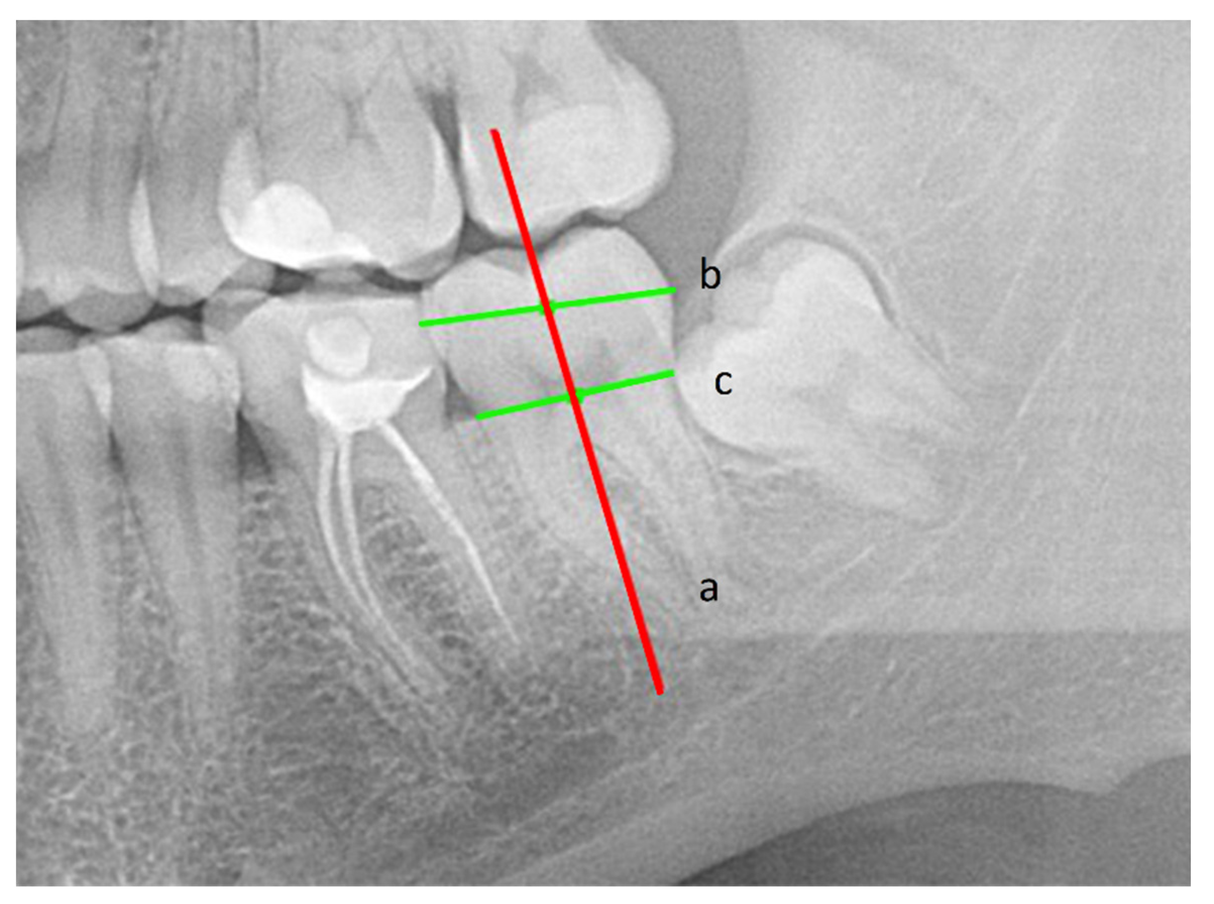Ijerph 18 06016 g002