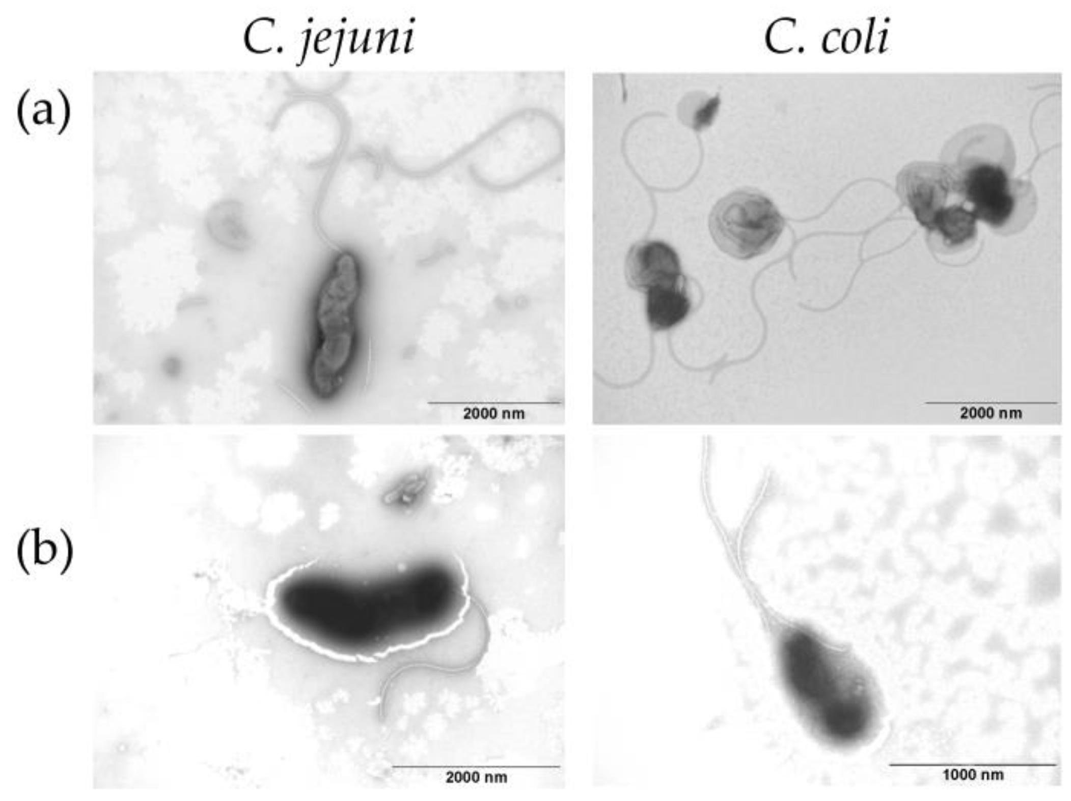 Ijerph 18 06098 g005 Ijerph 18 06098 g005