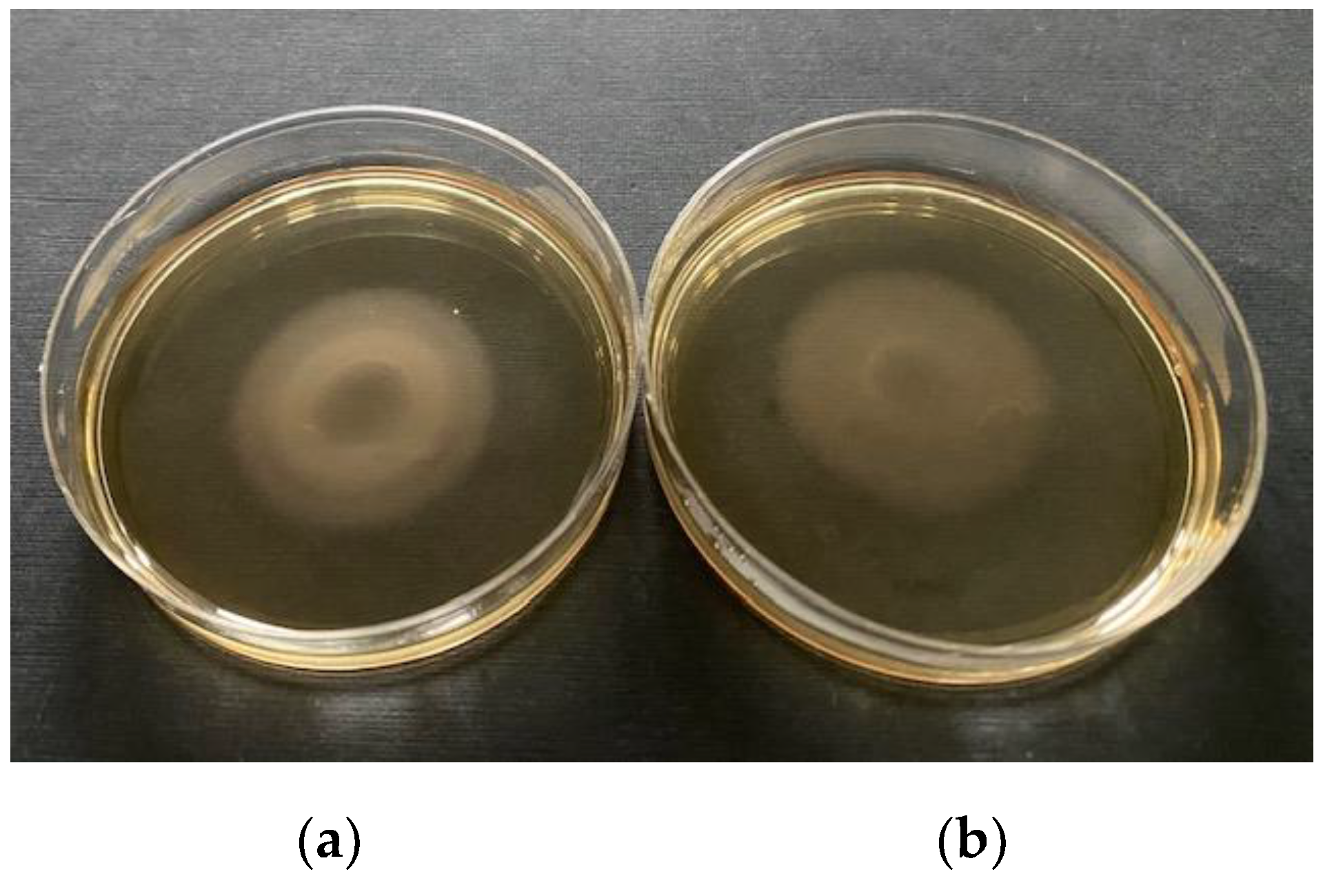 Ijerph 18 06098 g006 Ijerph 18 06098 g006