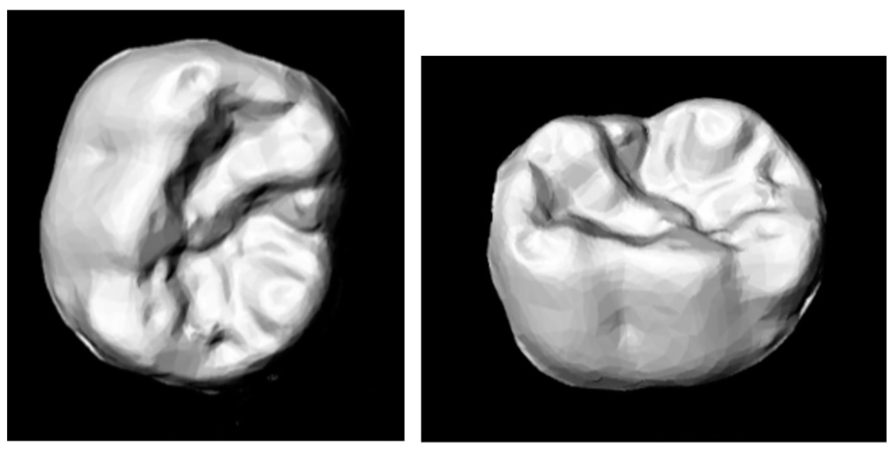 Ijerph 18 06201 g001