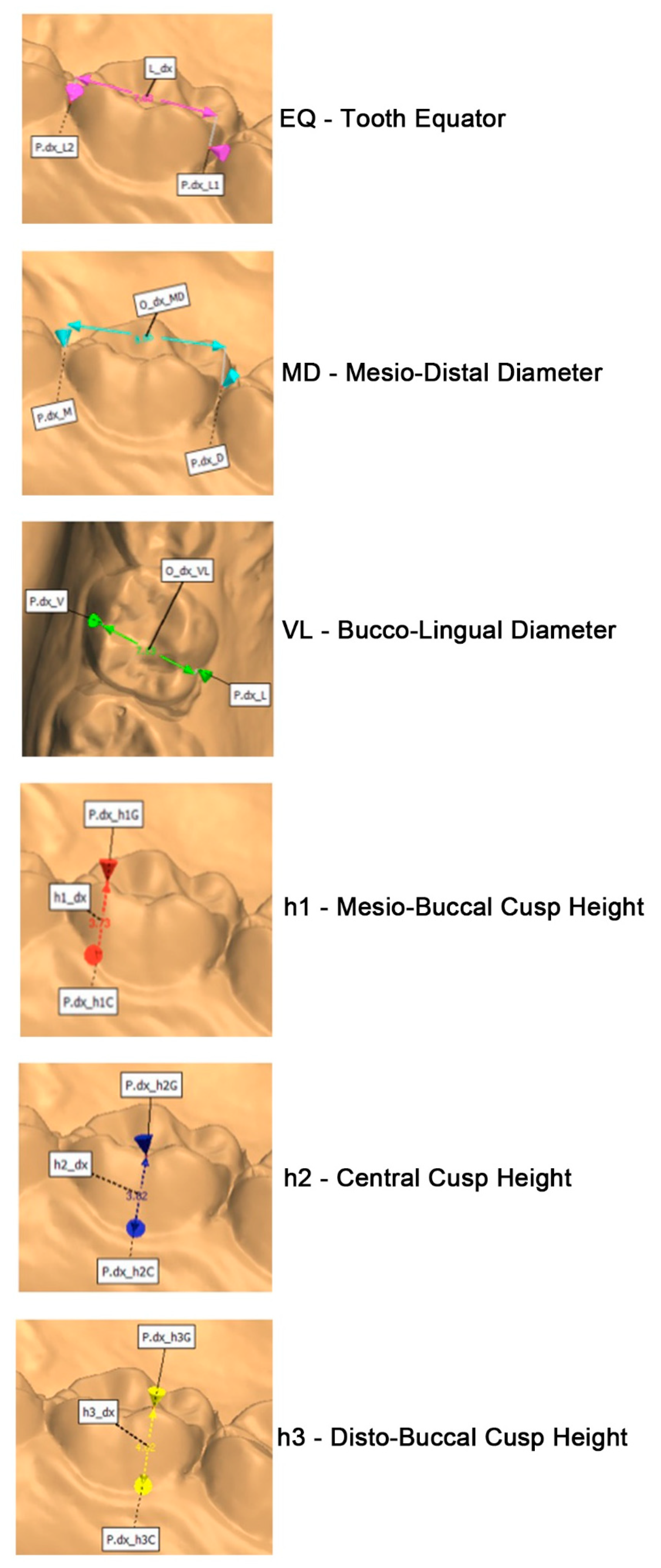 Ijerph 18 06201 g003