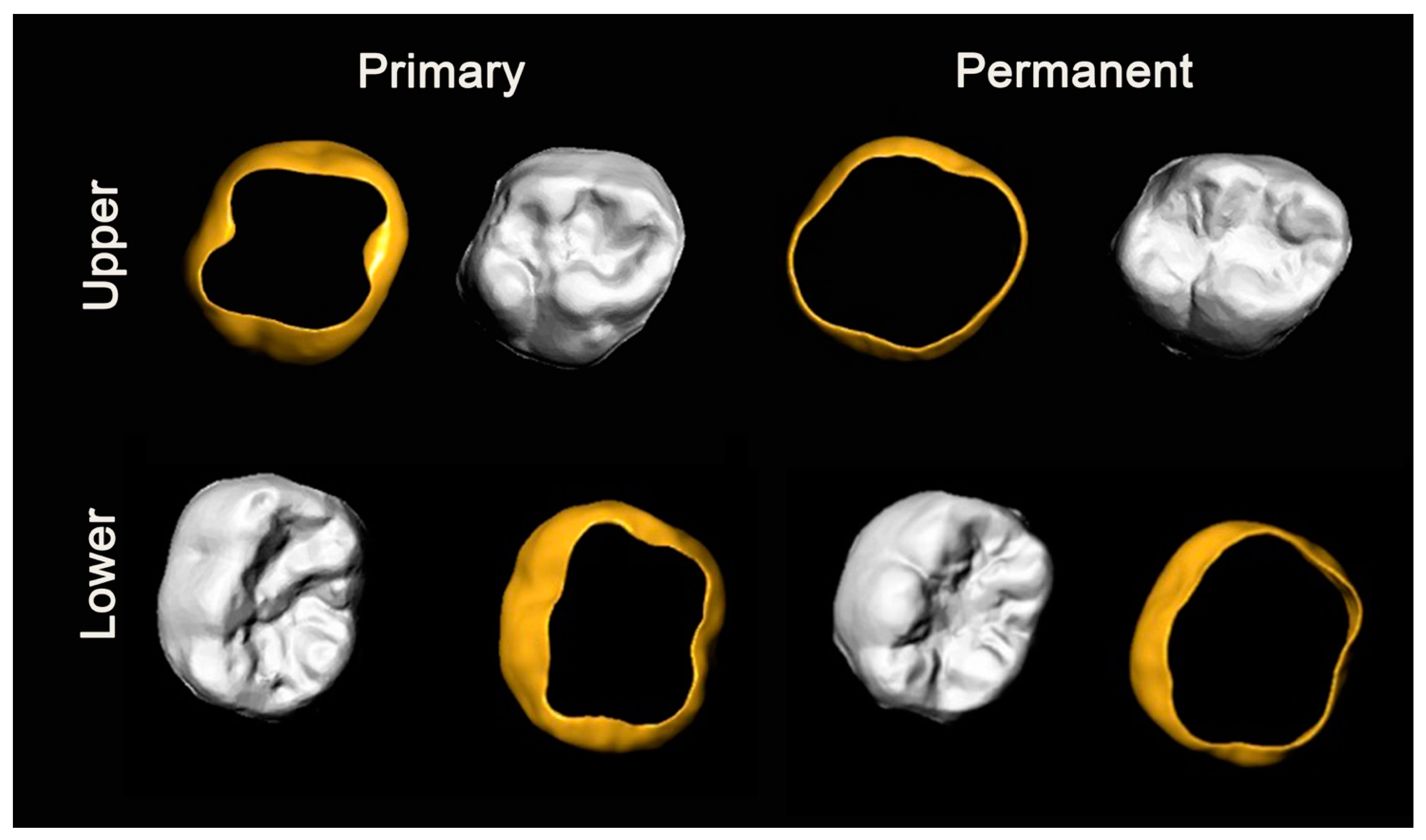 Ijerph 18 06201 g004
