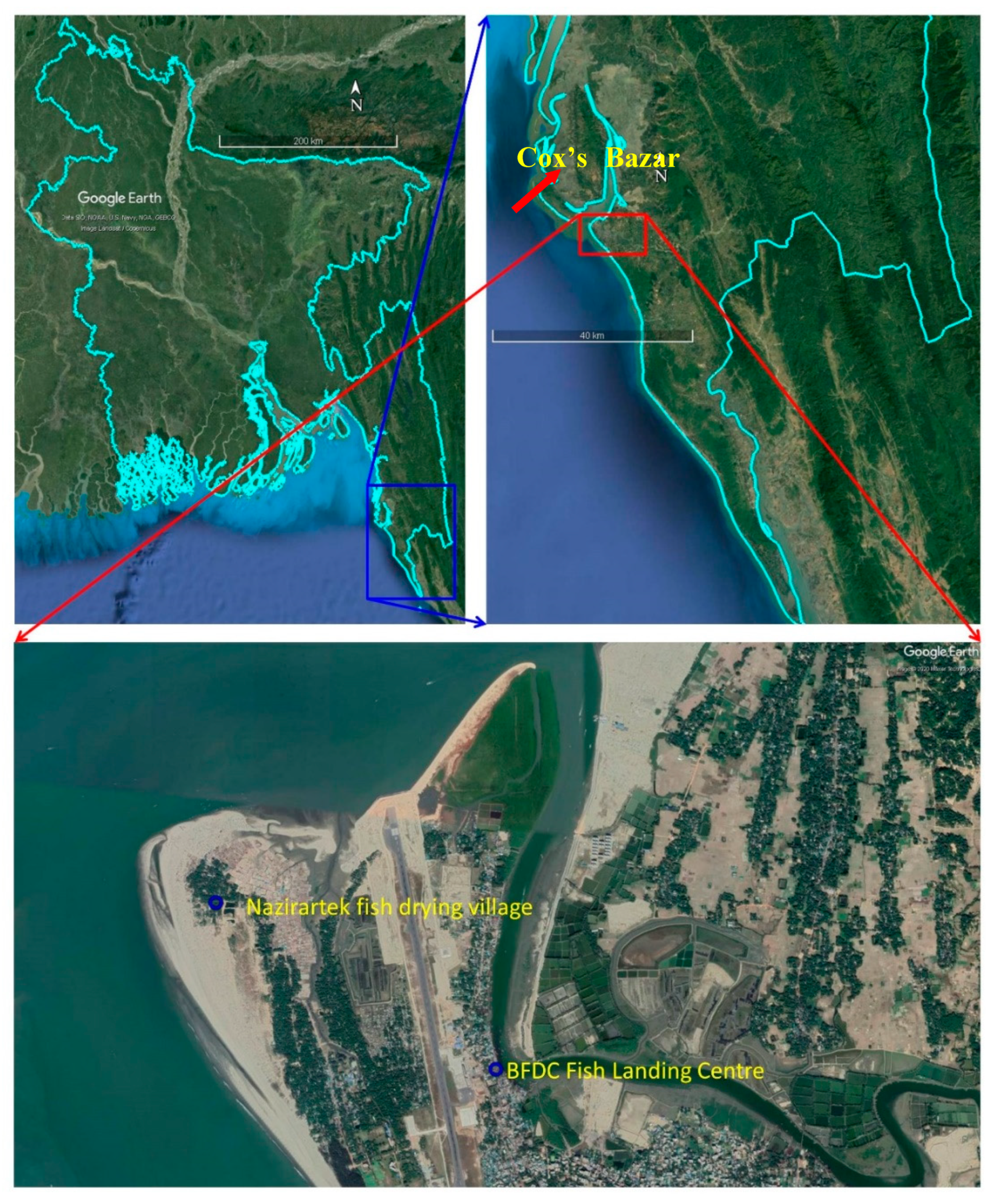 Ijerph 18 06242 g001