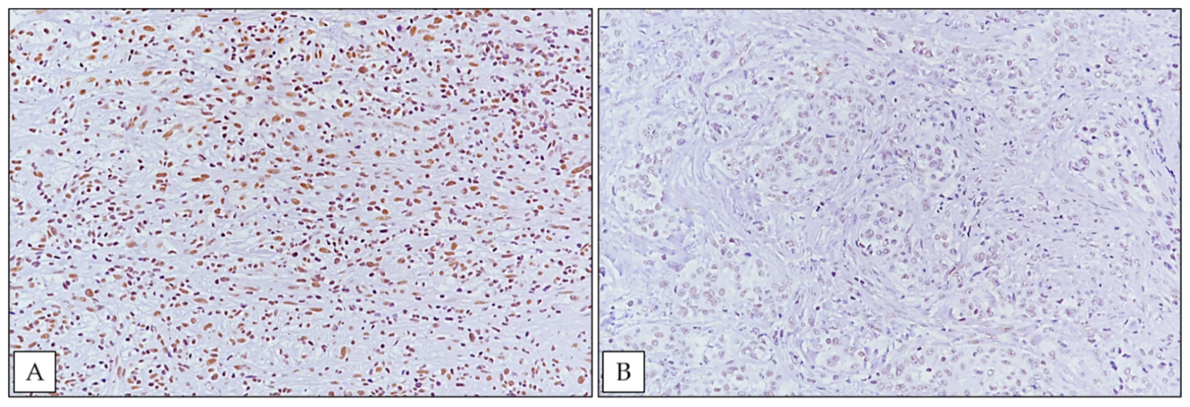 Ijerph 18 06249 g002 Ijerph 18 06249 g002