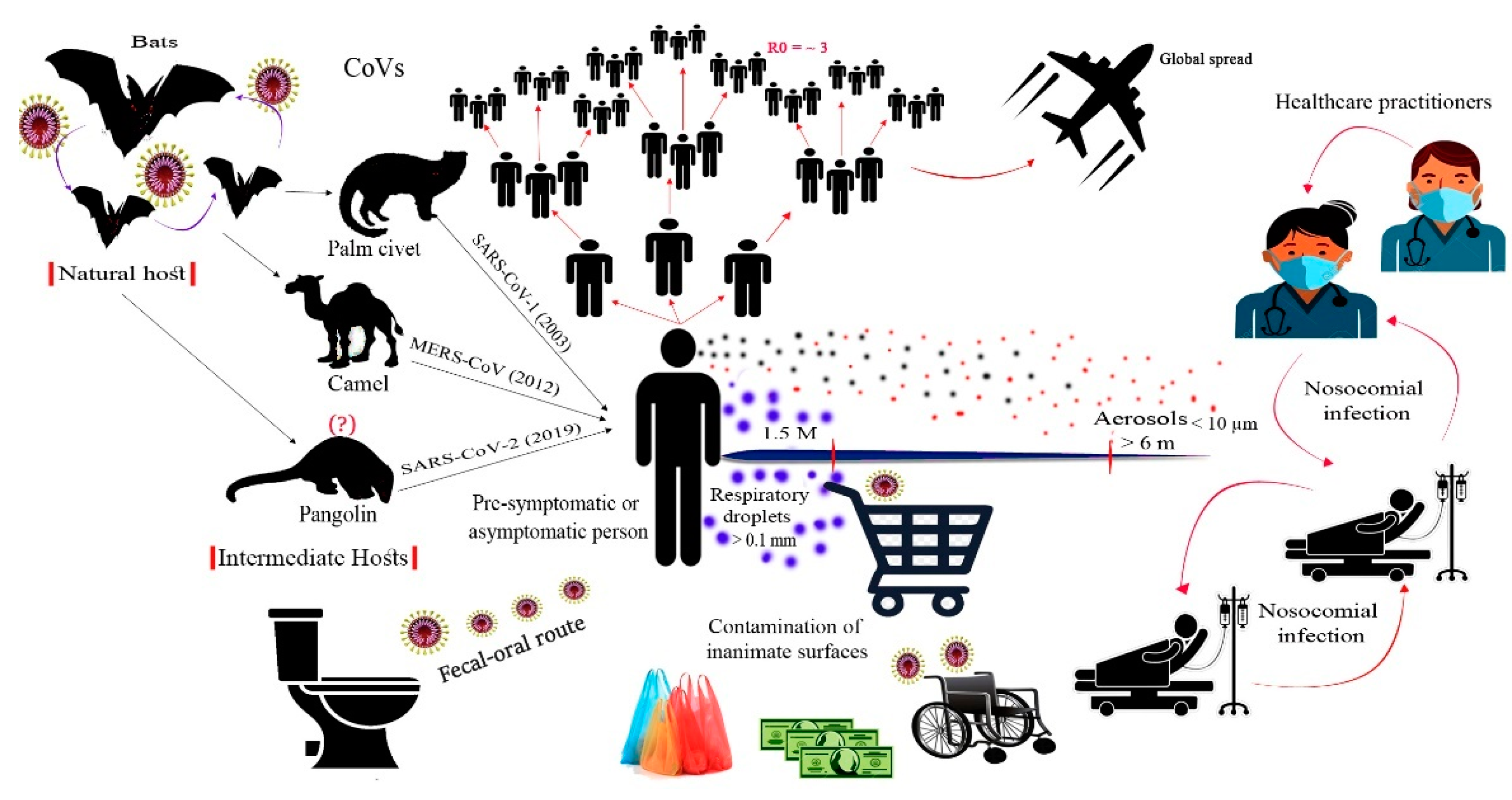 SARS-CoV-2: An Overview of Virus Genetics, Transmission, and