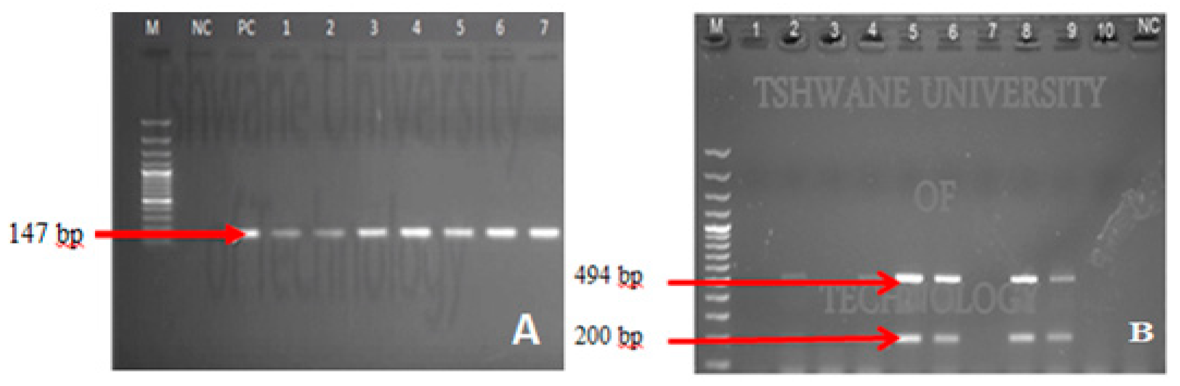 Ijerph 18 06313 g006