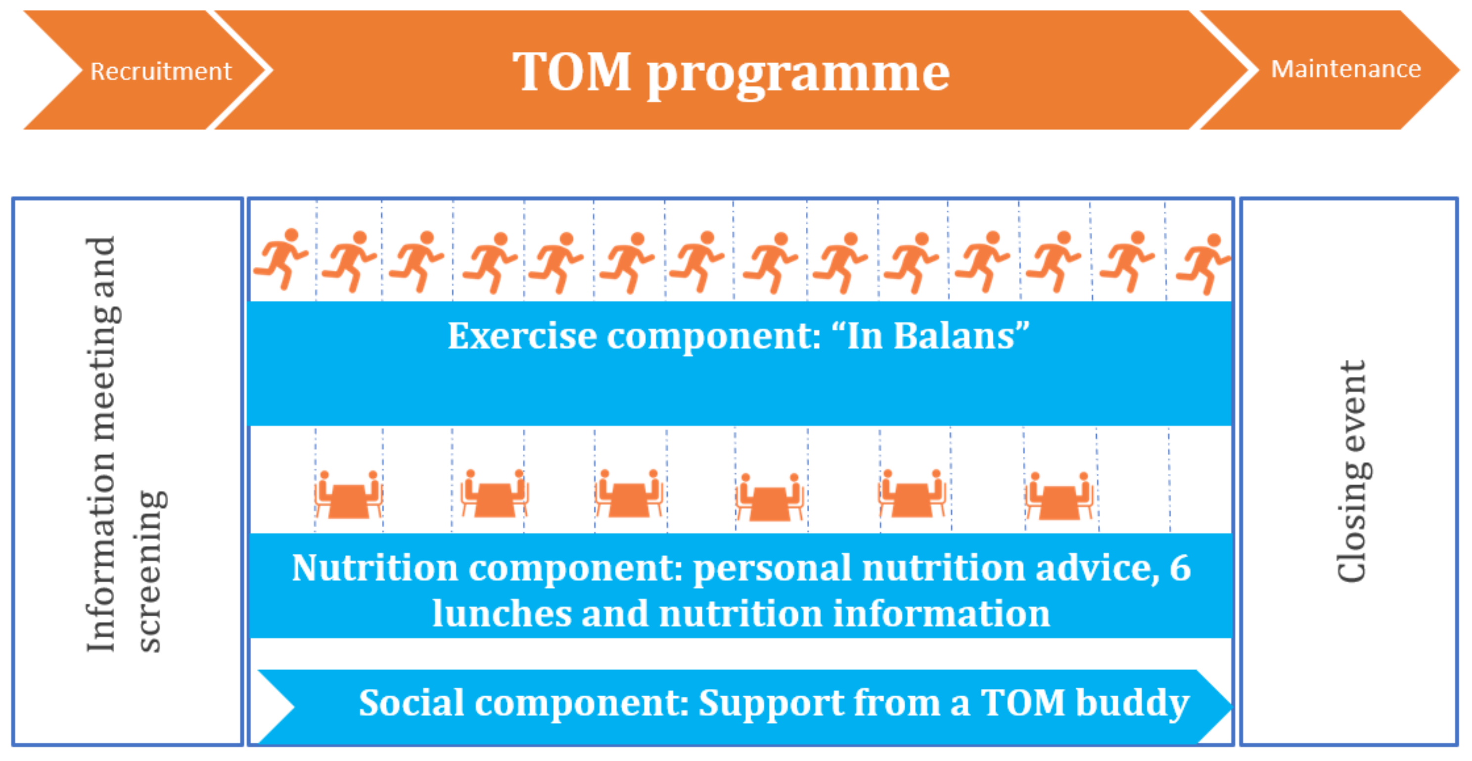 Evaluation of Implementing TOM: A Group-Based Fall Prevention 