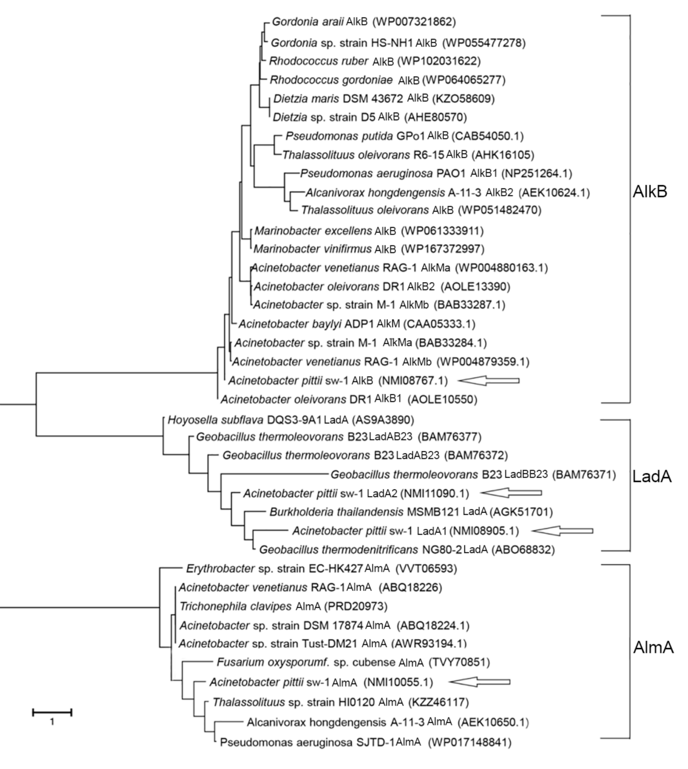 Ijerph 18 06365 g003