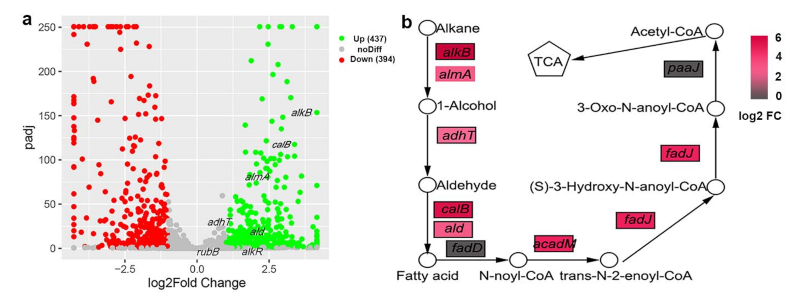 Ijerph 18 06365 g004