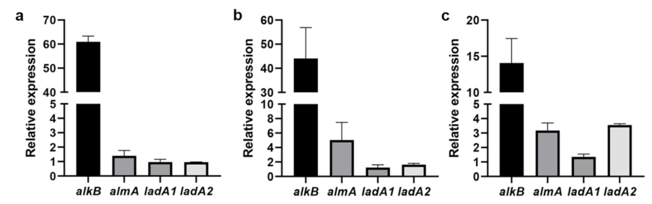 Ijerph 18 06365 g005