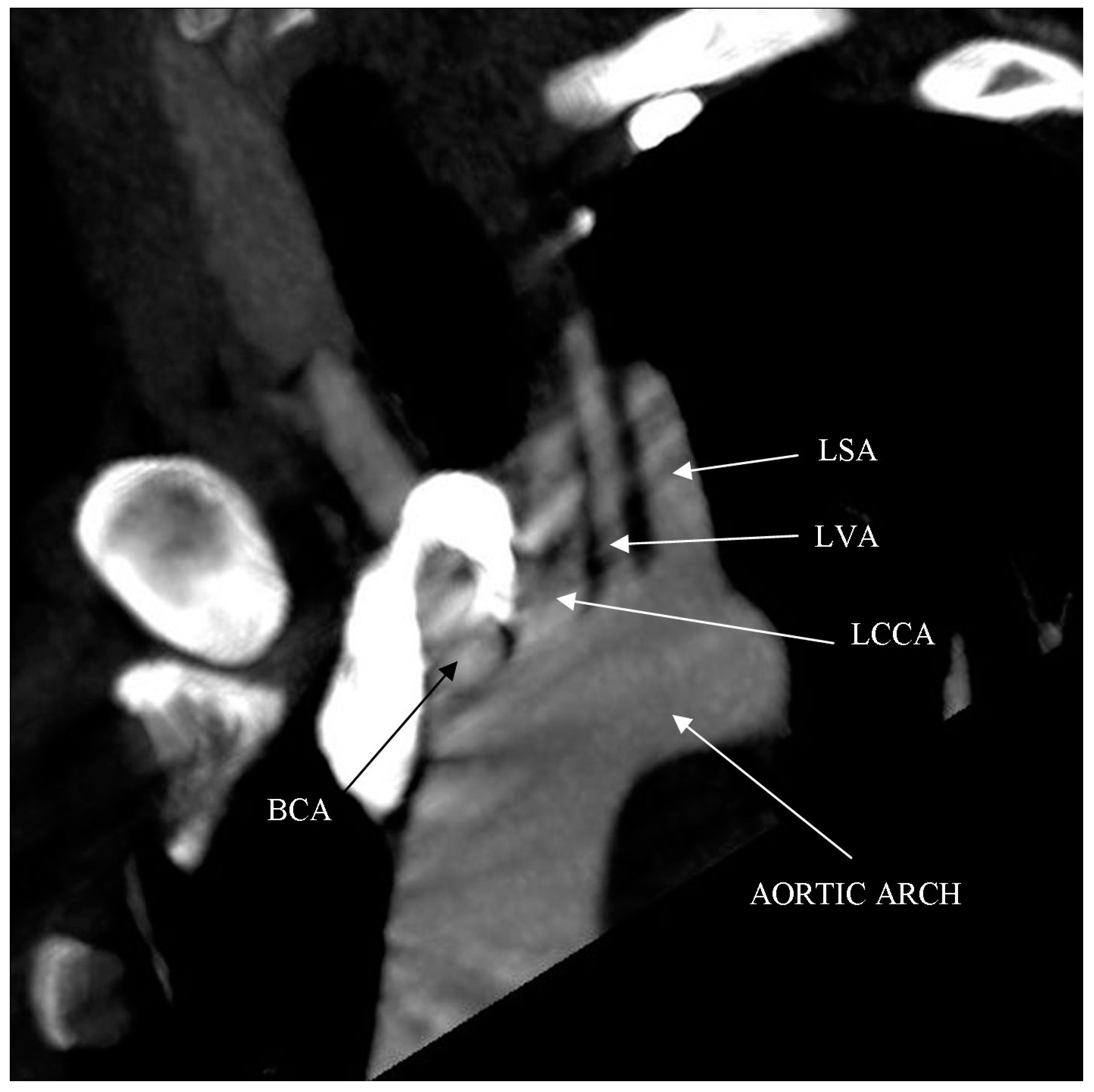 Ijerph 18 06400 g001