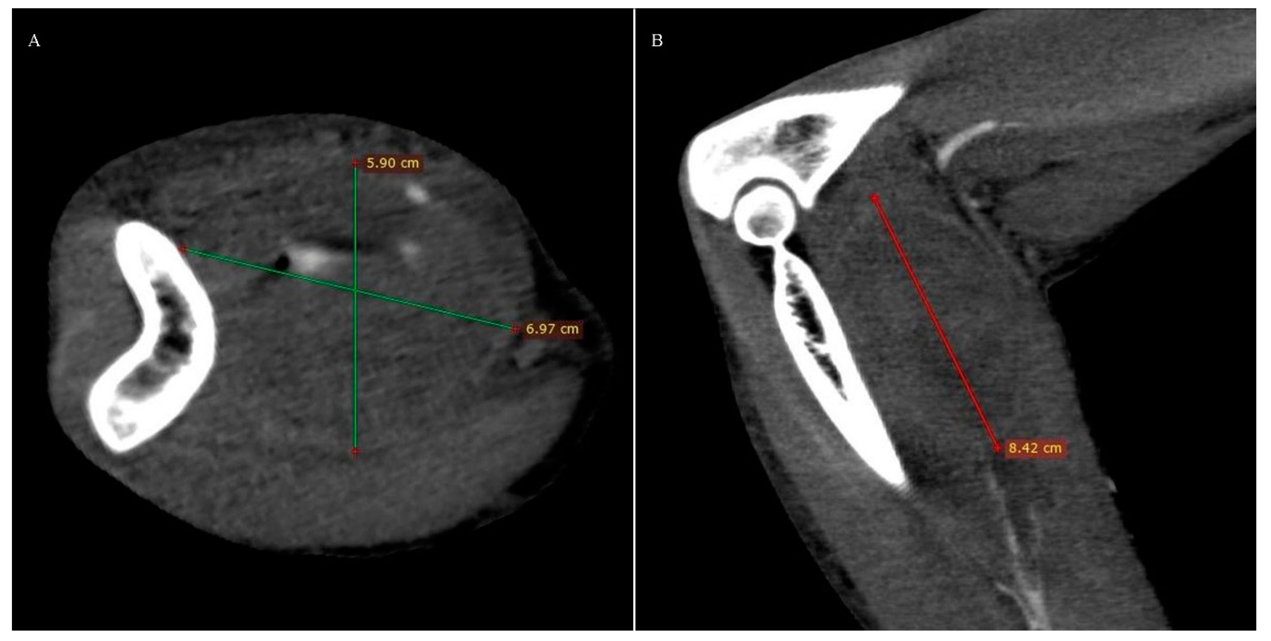 Ijerph 18 06400 g003