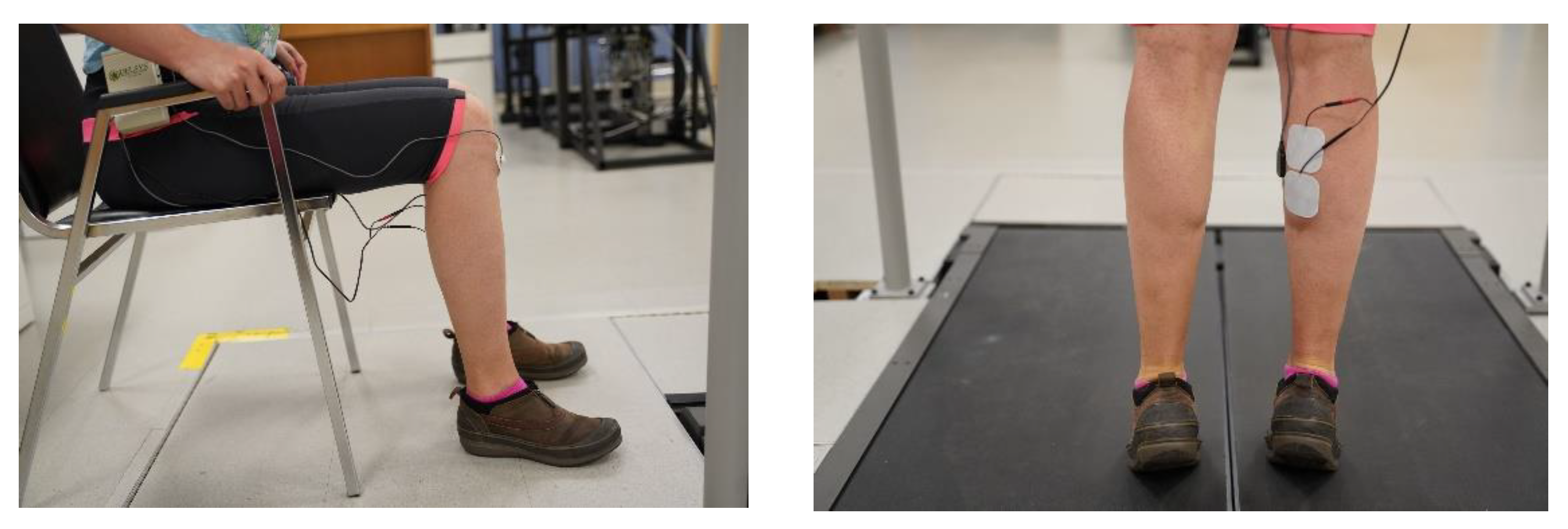 Ijerph 18 06460 g002