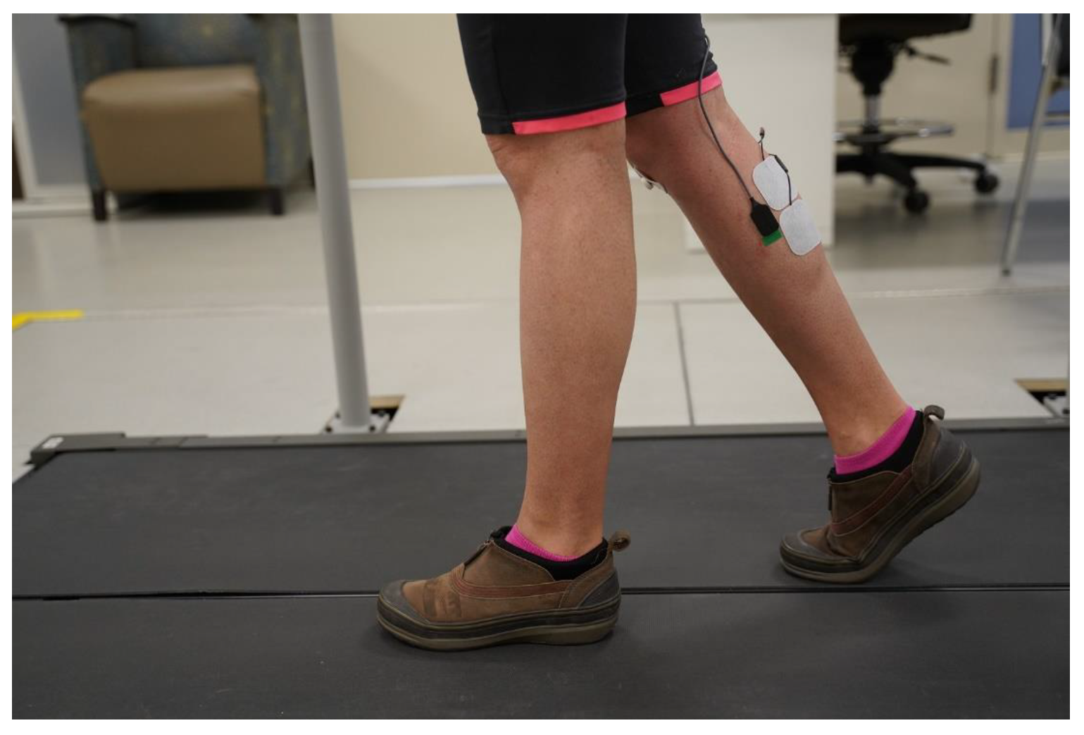 Ijerph 18 06460 g004b