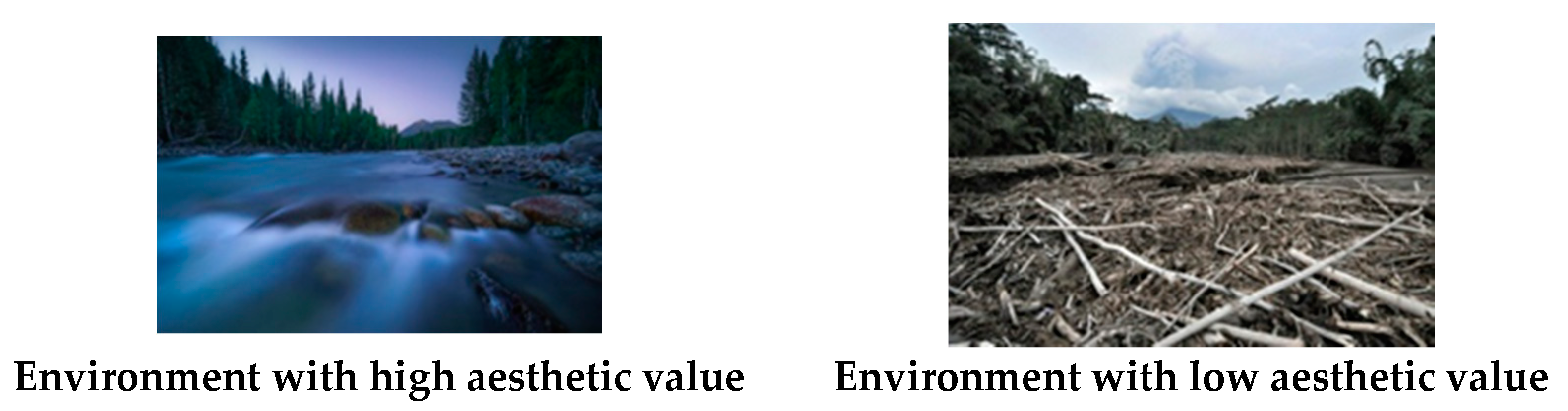 Ijerph 18 06477 g002