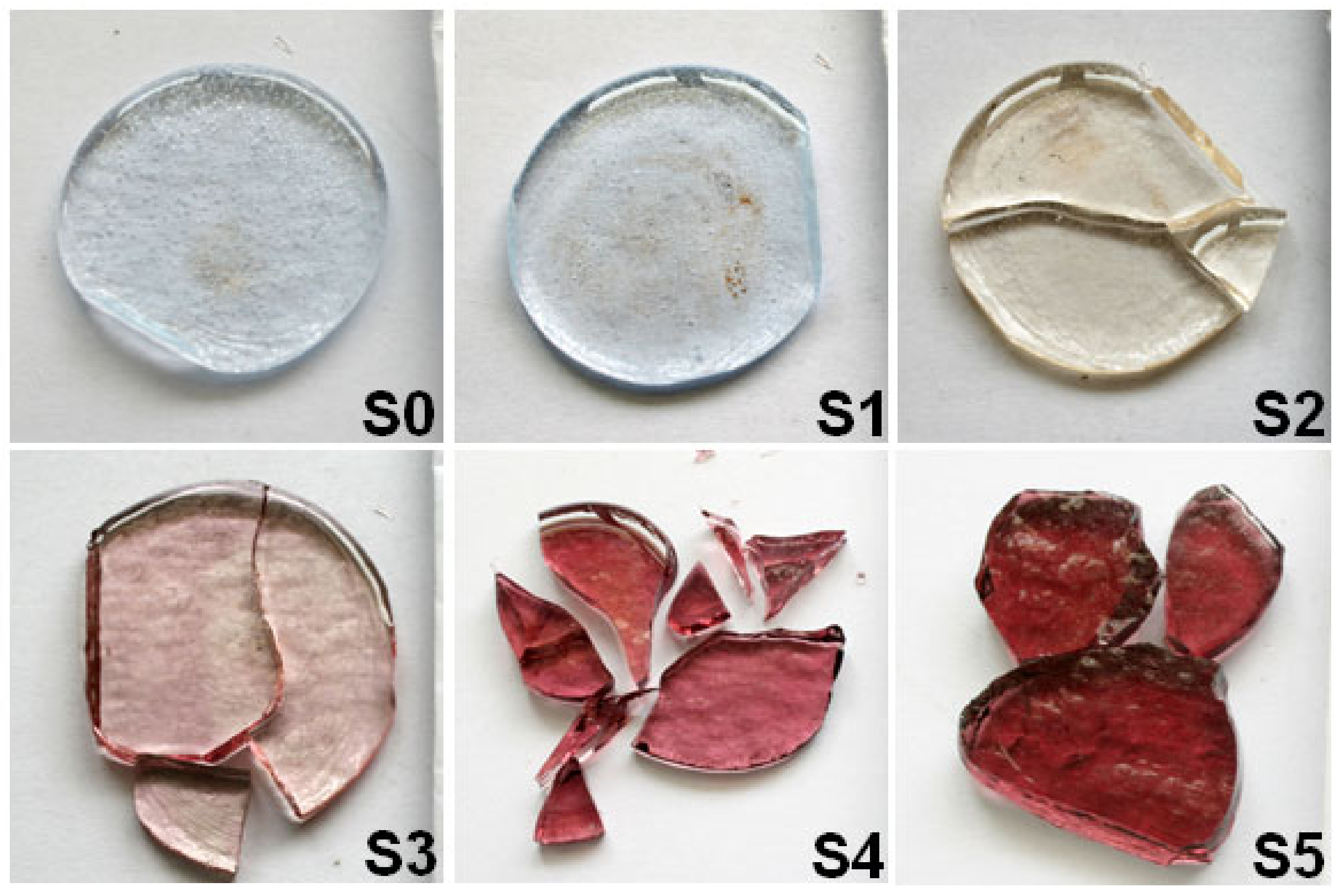 Ijerph 18 06585 g001 Ijerph 18 06585 g001