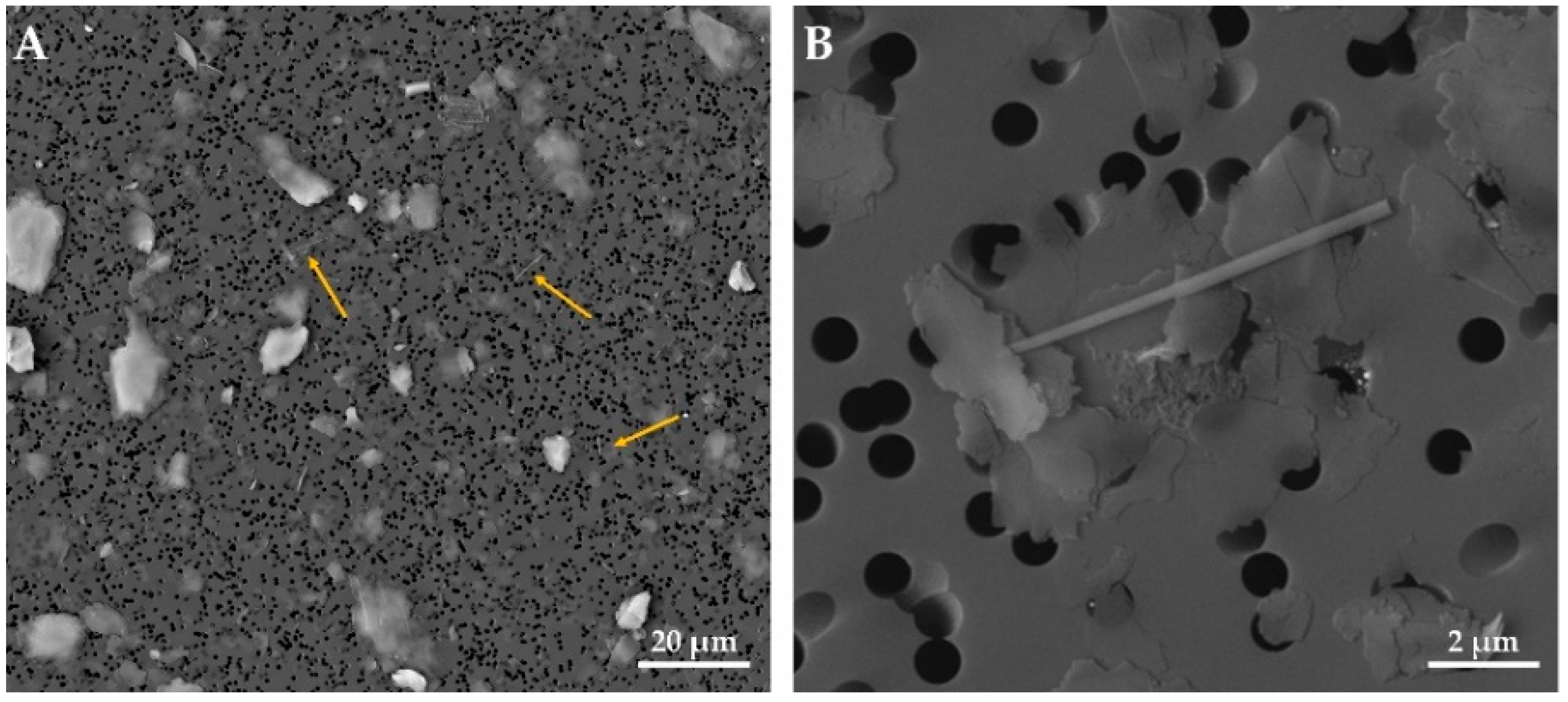 Ijerph 18 06587 g004 Ijerph 18 06587 g004