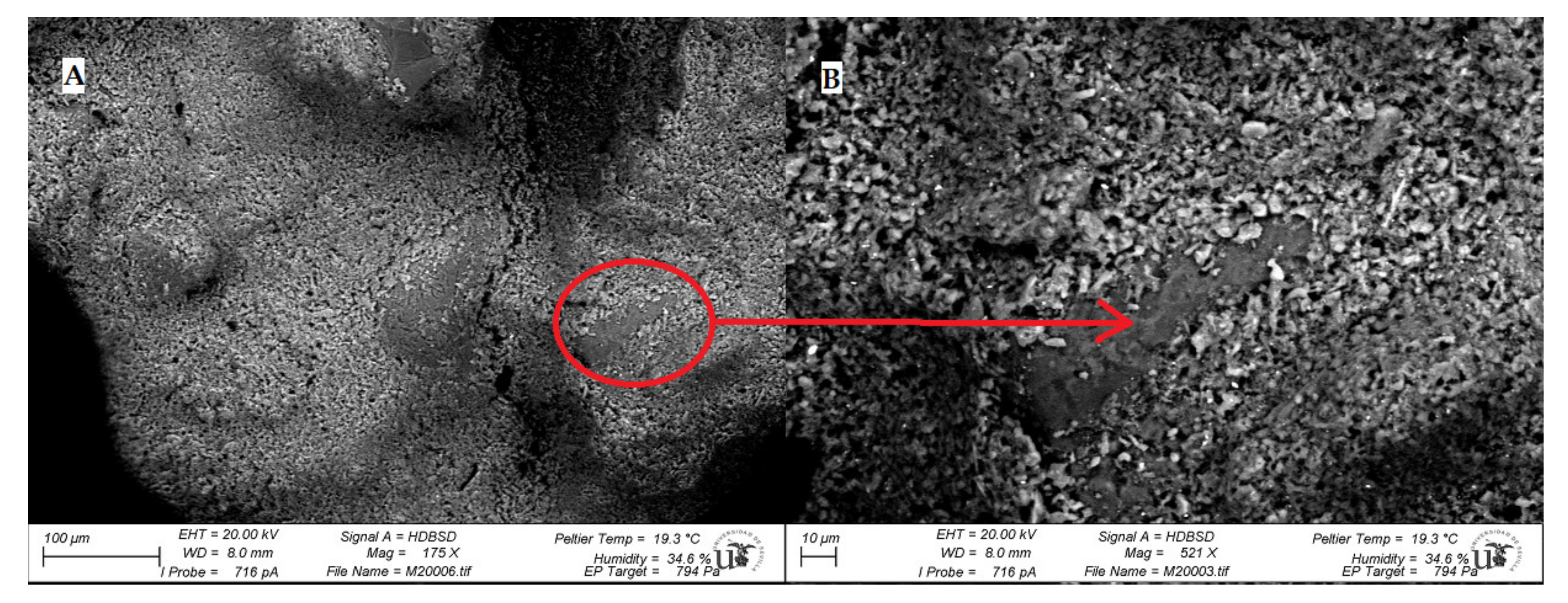 Ijerph 18 06664 g006 550