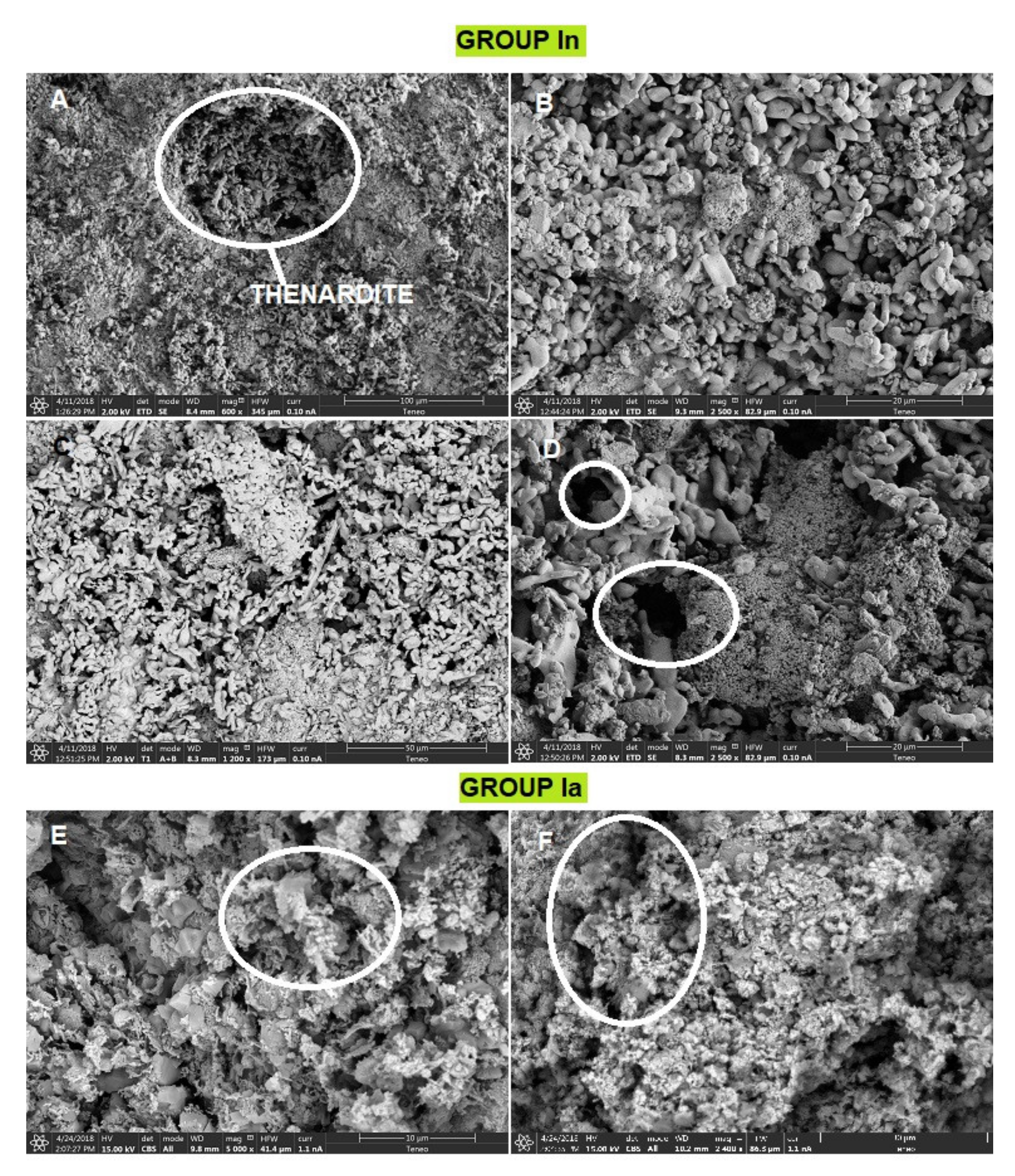 Ijerph 18 06664 g008 550