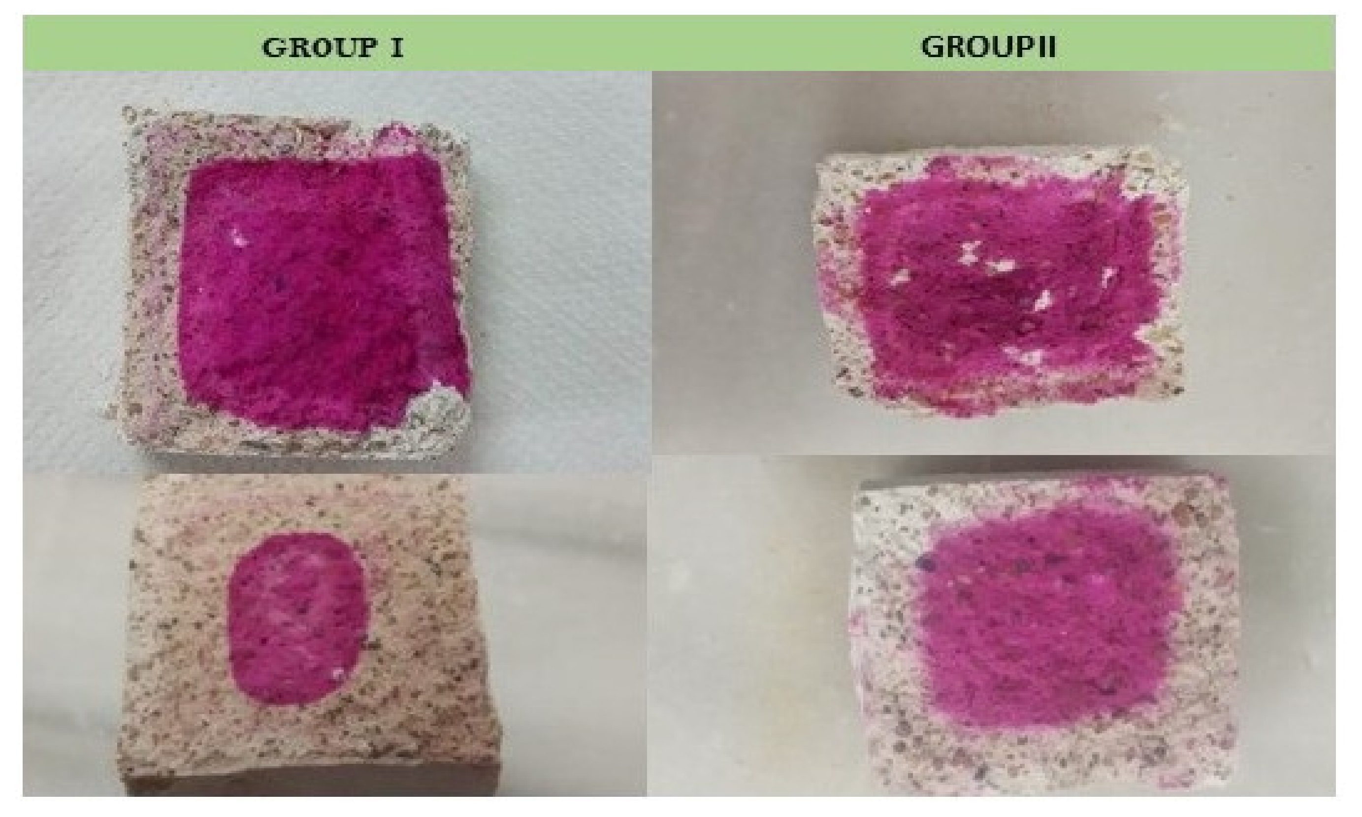 Ijerph 18 06664 g010 550