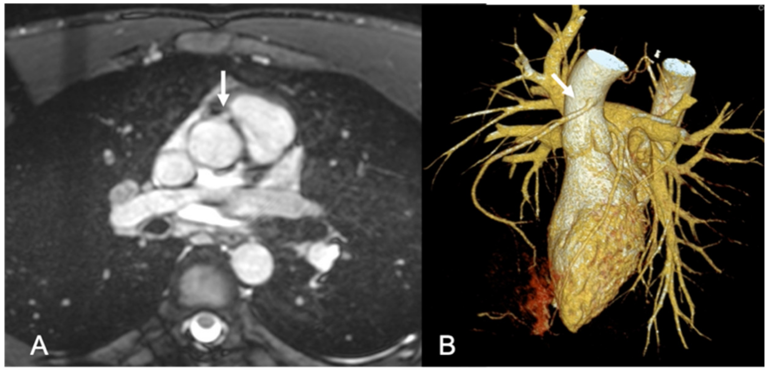 Ijerph 18 06677 g001 Ijerph 18 06677 g001
