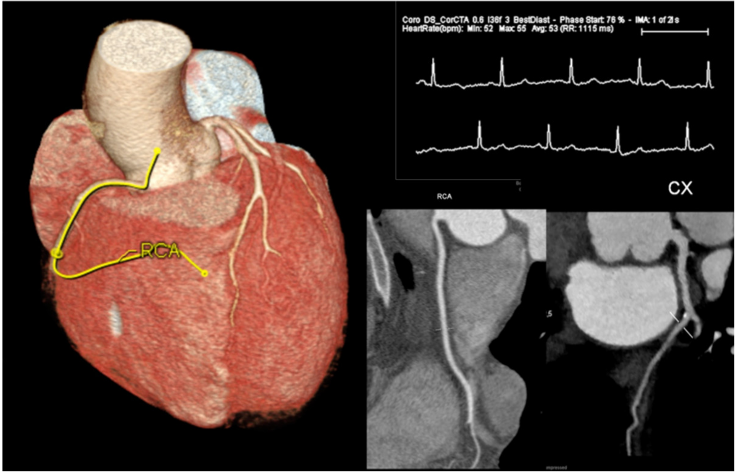 Ijerph 18 06677 g004 Ijerph 18 06677 g004