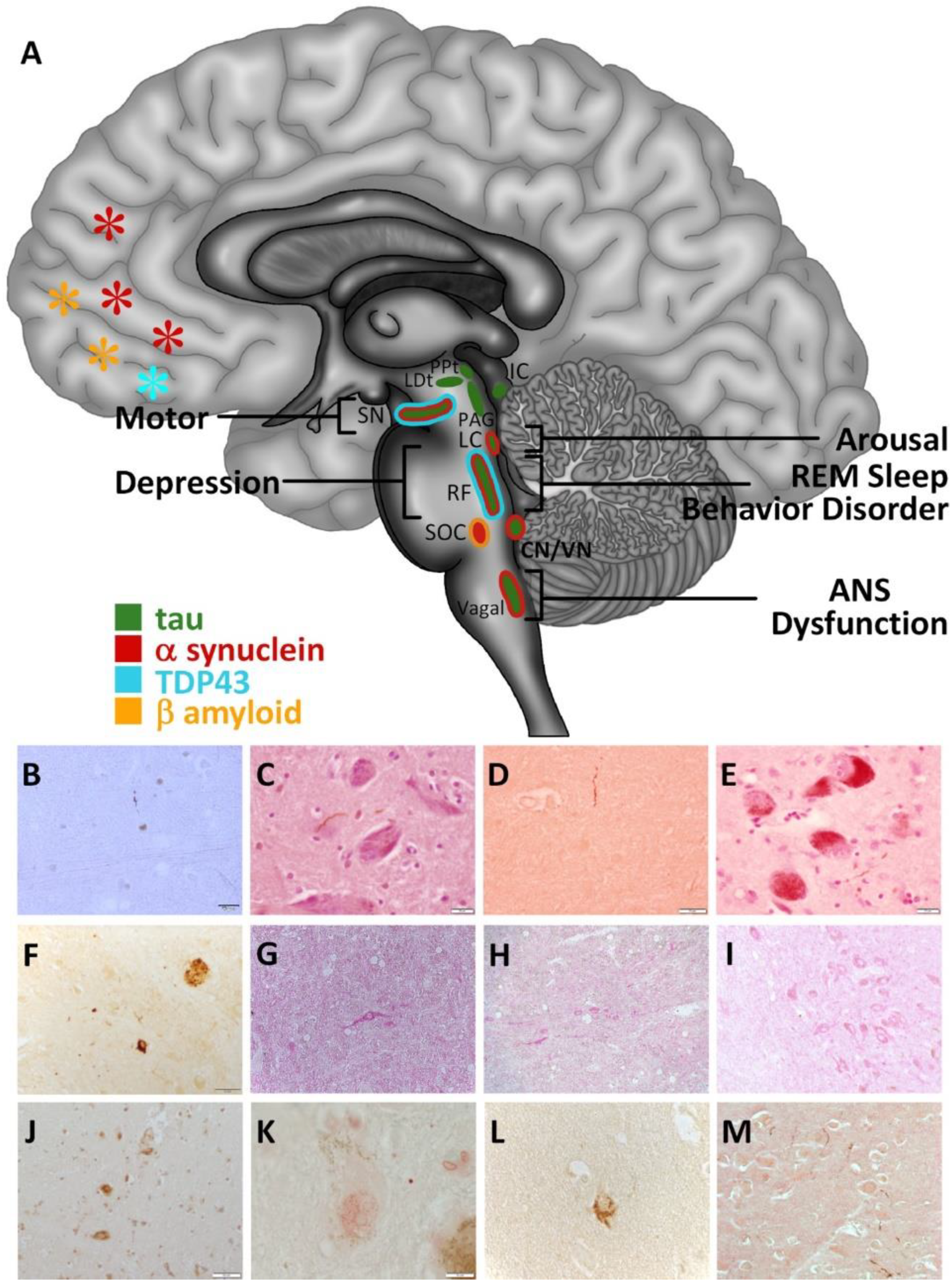 Ijerph 18 06689 g001 550