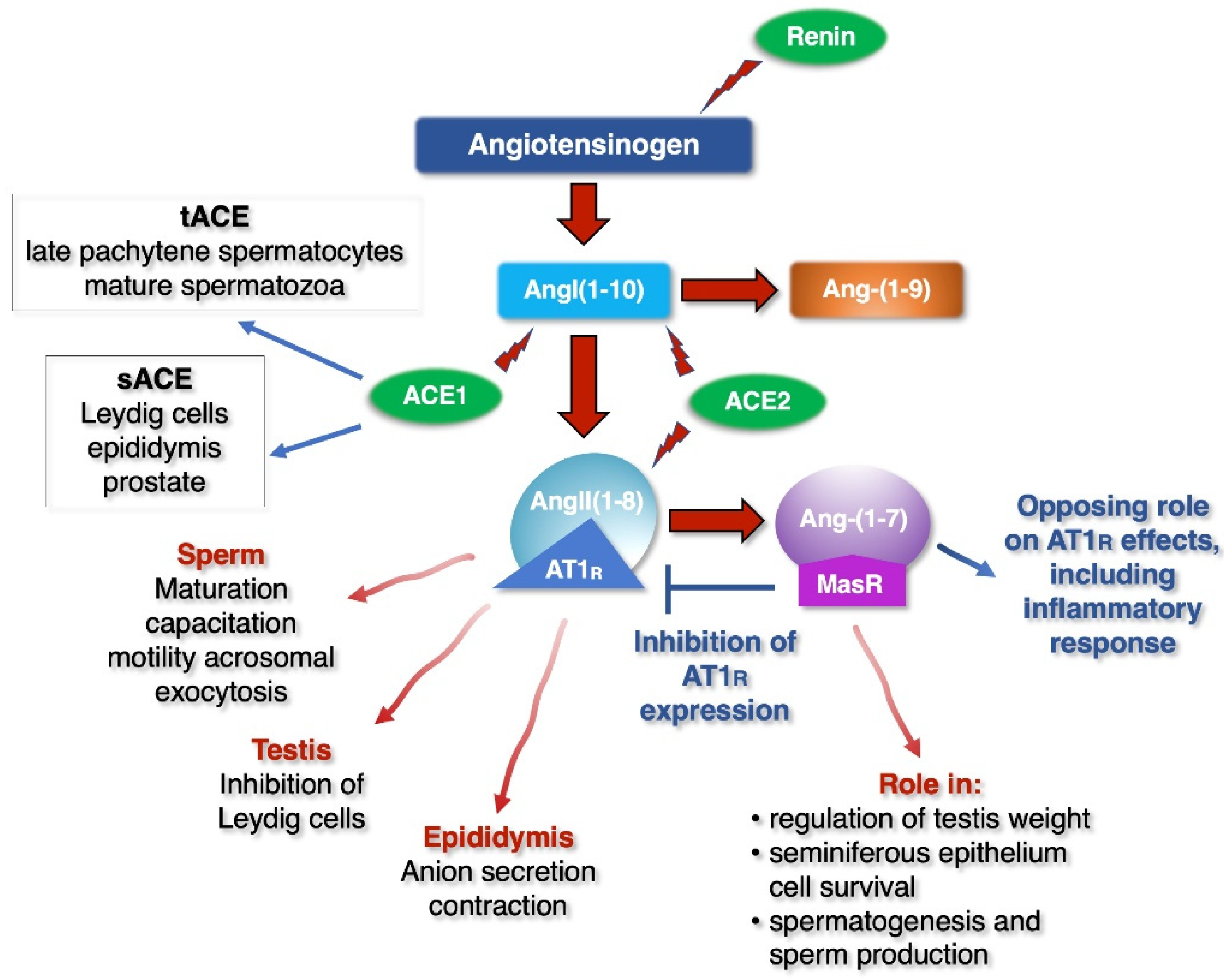Ijerph 18 06846 g002 Ijerph 18 06846 g002