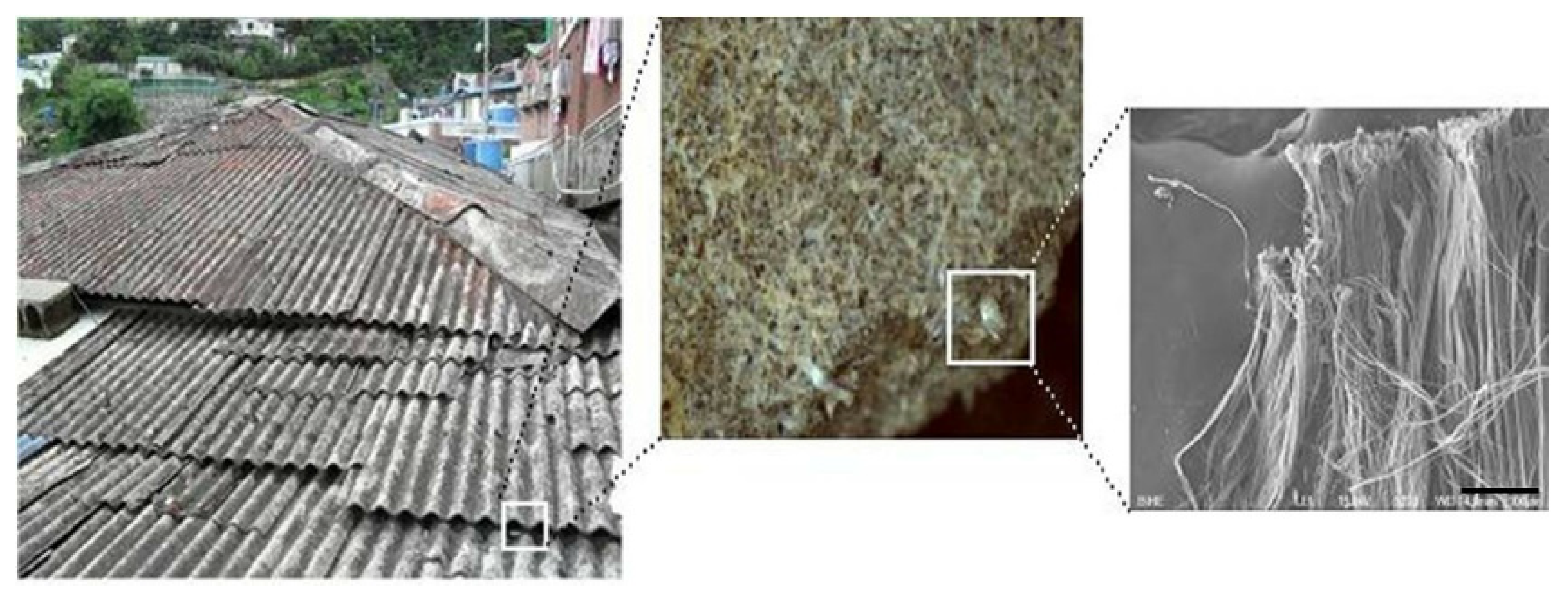 Ijerph 18 06925 g001 Ijerph 18 06925 g001