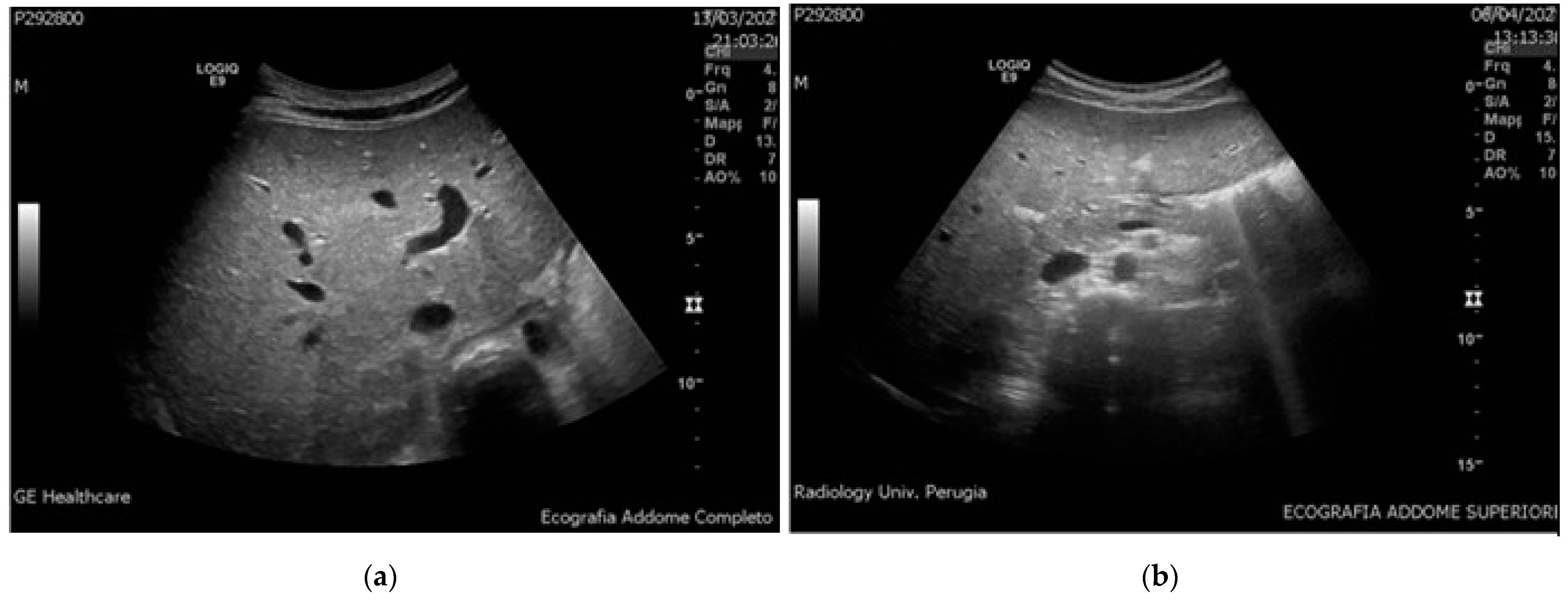 Ijerph 18 06961 g001 550