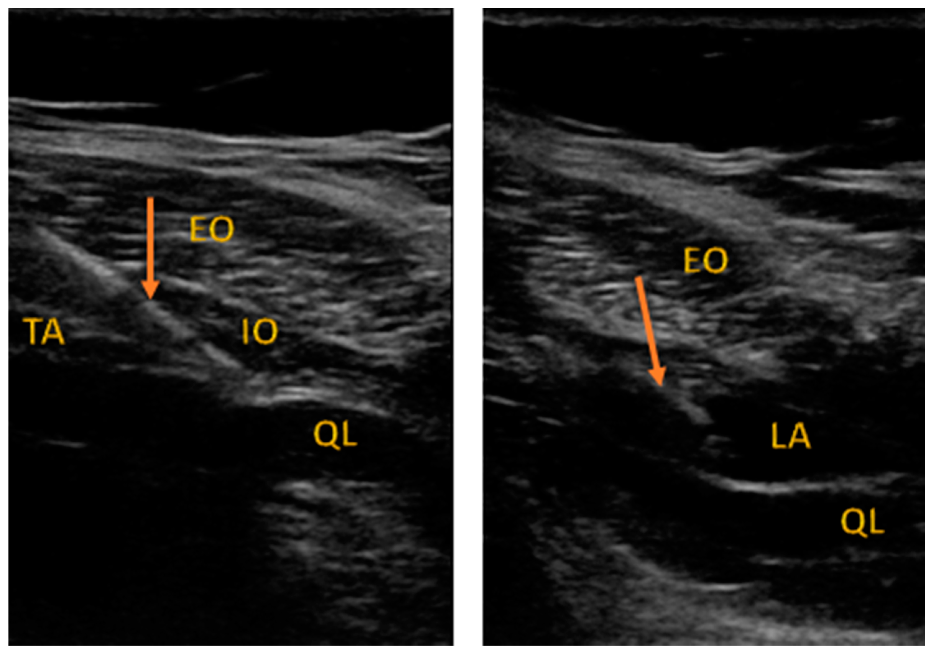 Ijerph 18 07034 g001 550