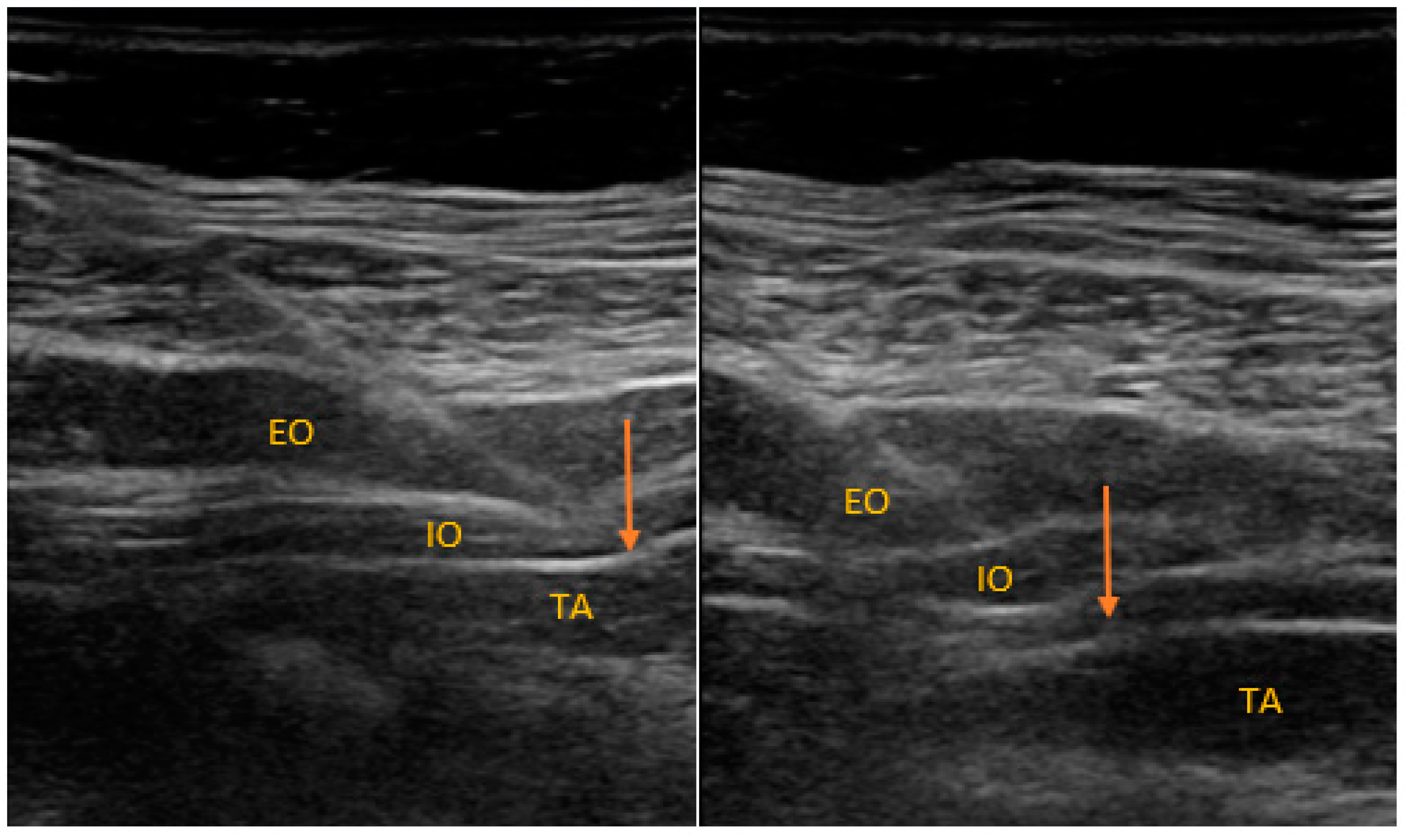 Ijerph 18 07034 g002 550