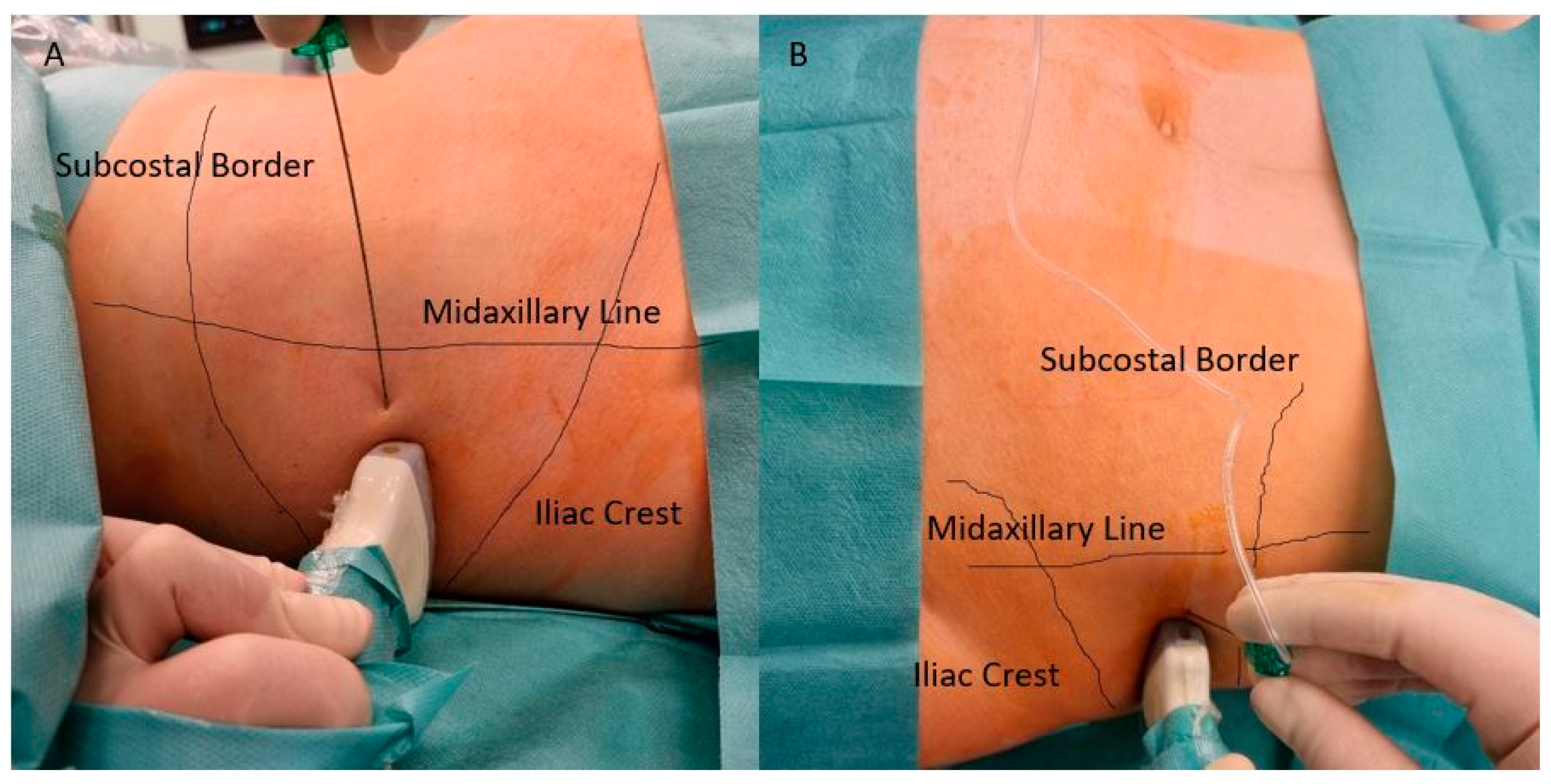 Ijerph 18 07034 g003 550