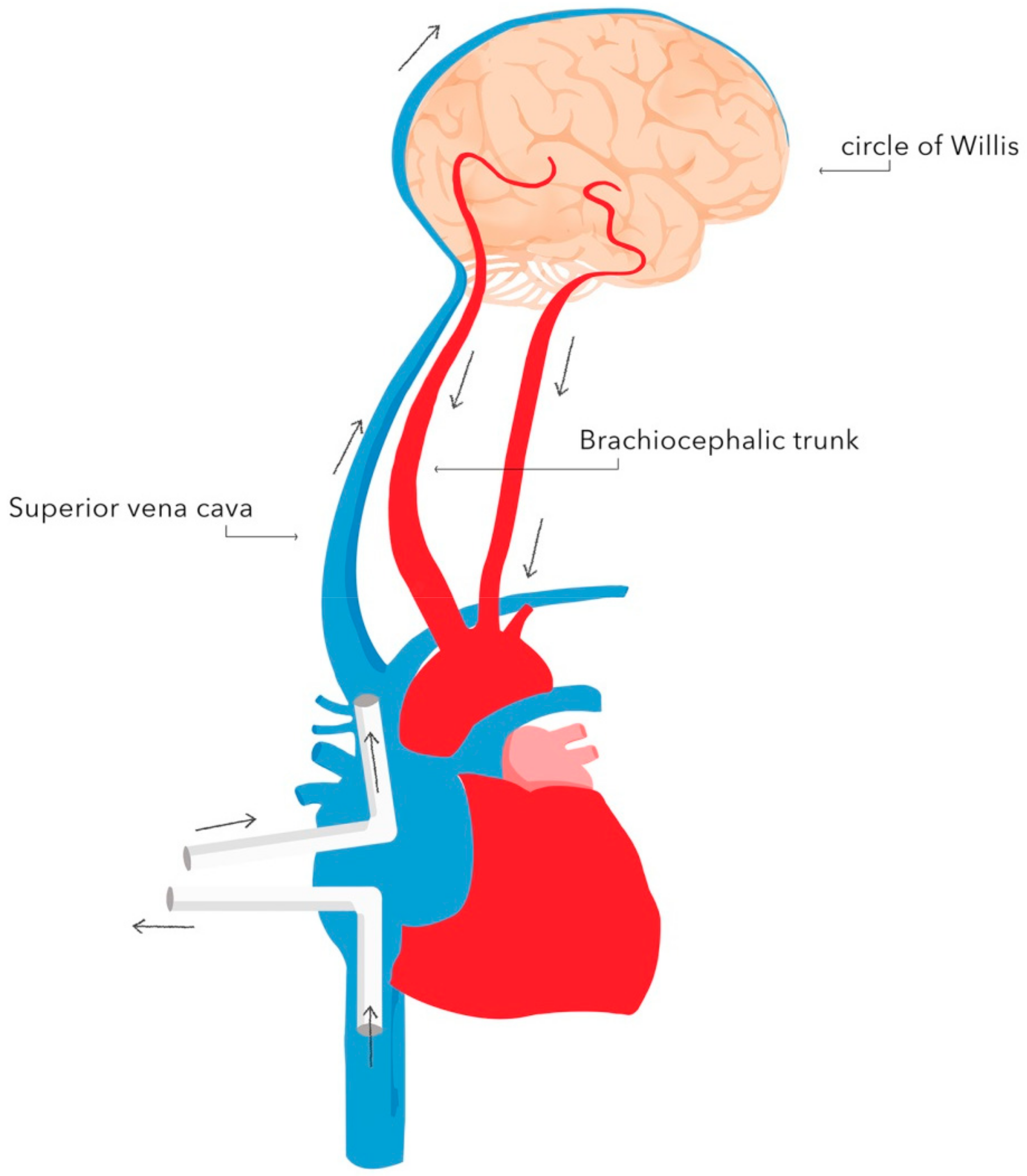 Ijerph 18 07061 g003