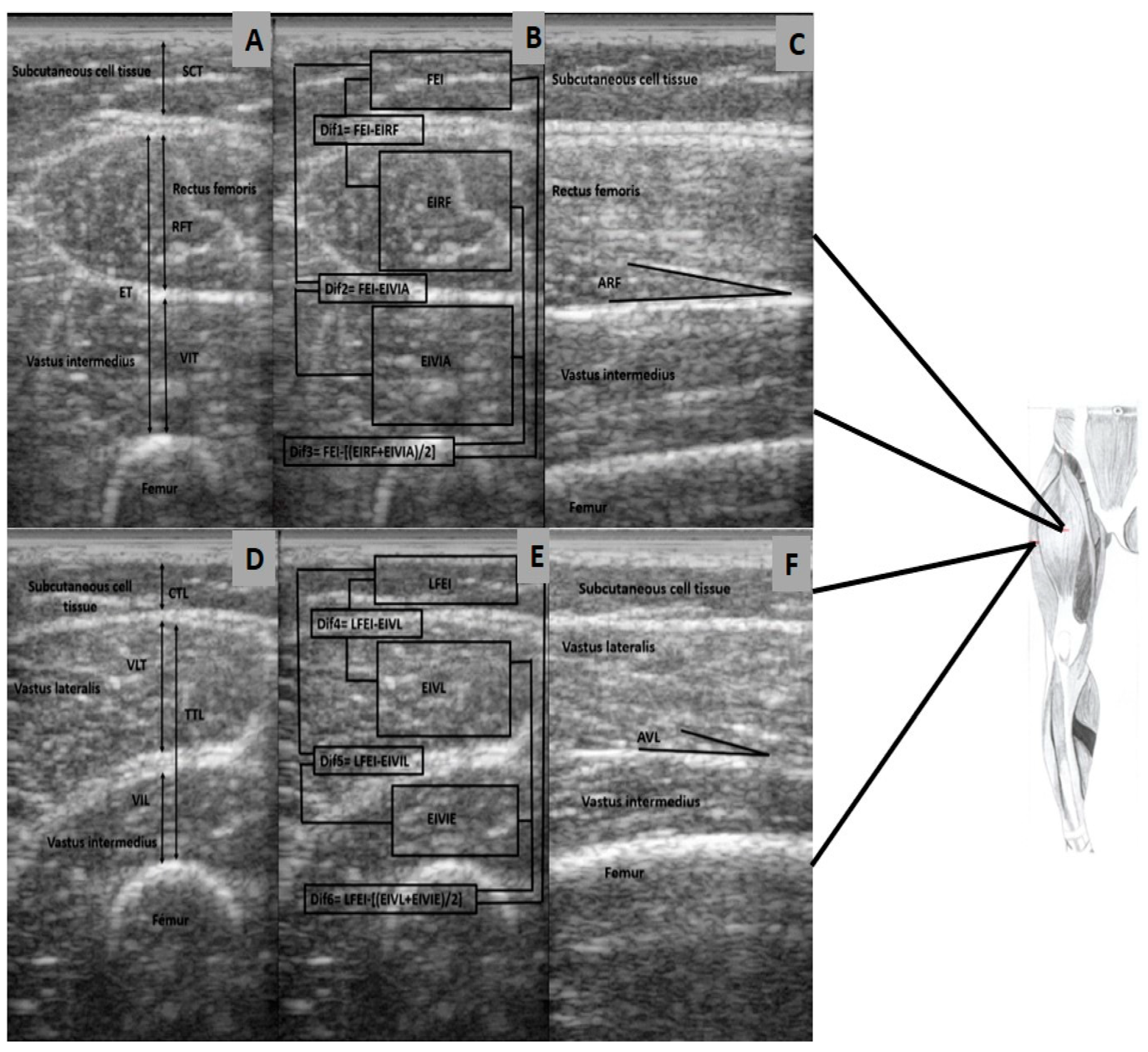 Ijerph 18 07083 g001 550