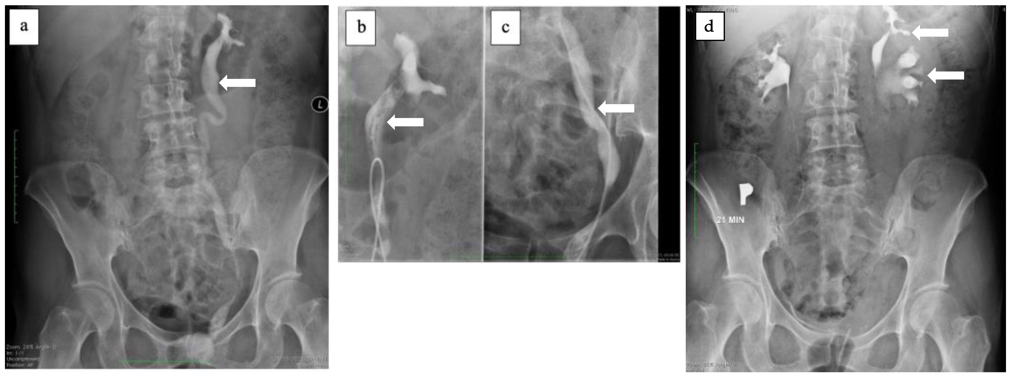 Ijerph 18 07084 g004 550